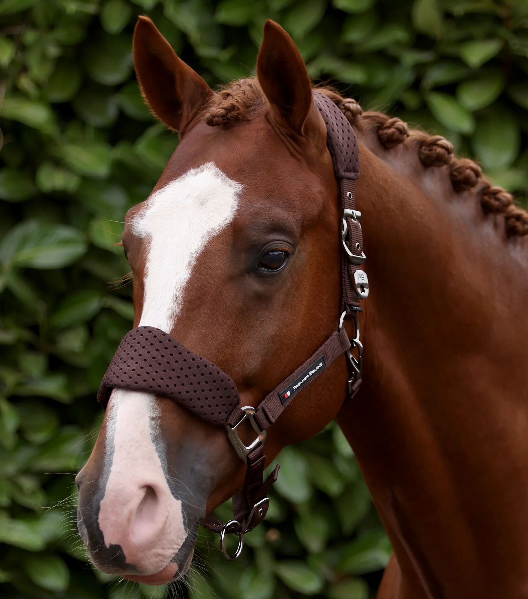 Necto 3D Mesh Head Collar with Lead Rope Brown