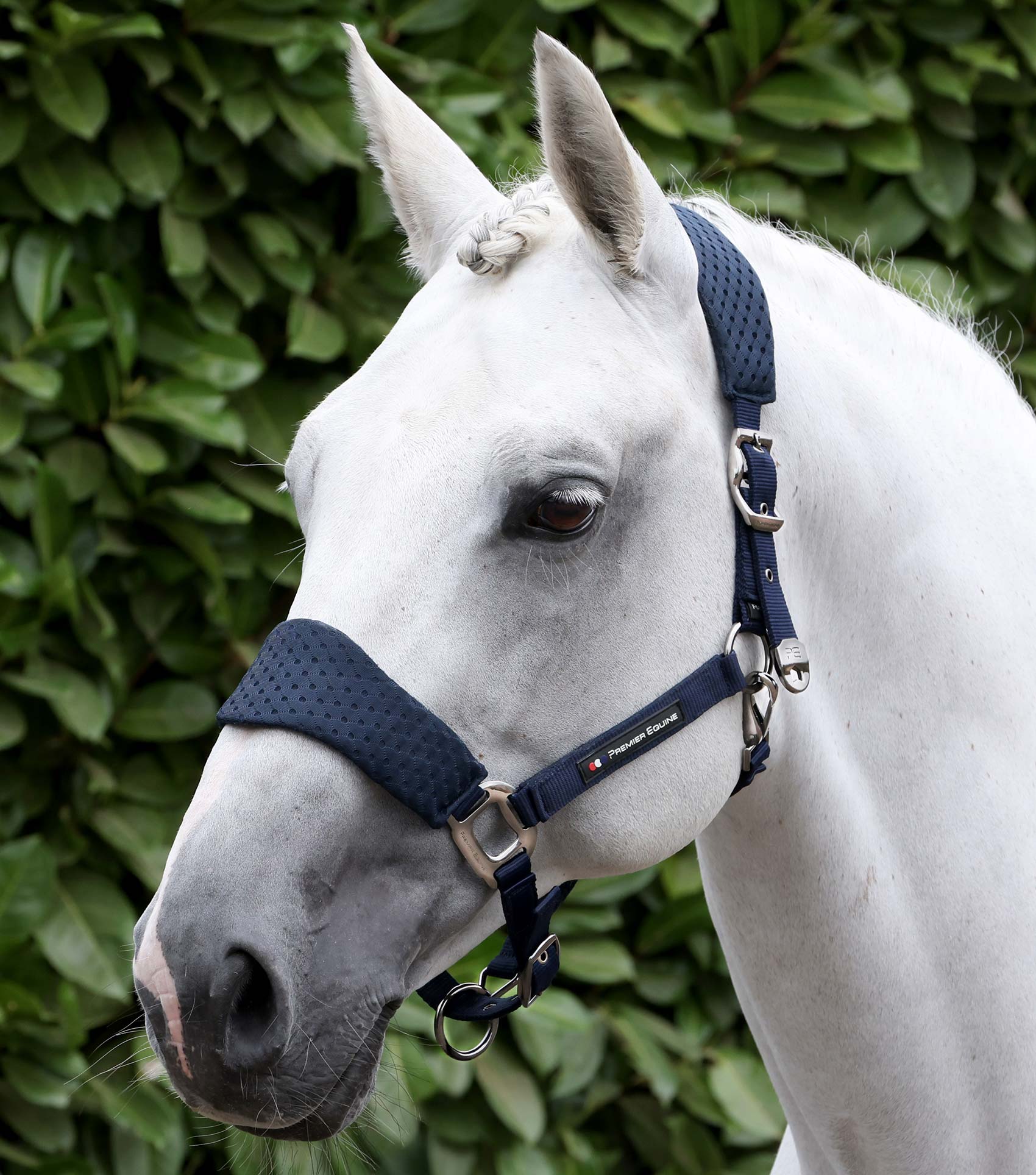 Necto 3D Mesh Head Collar with Lead Rope Navy