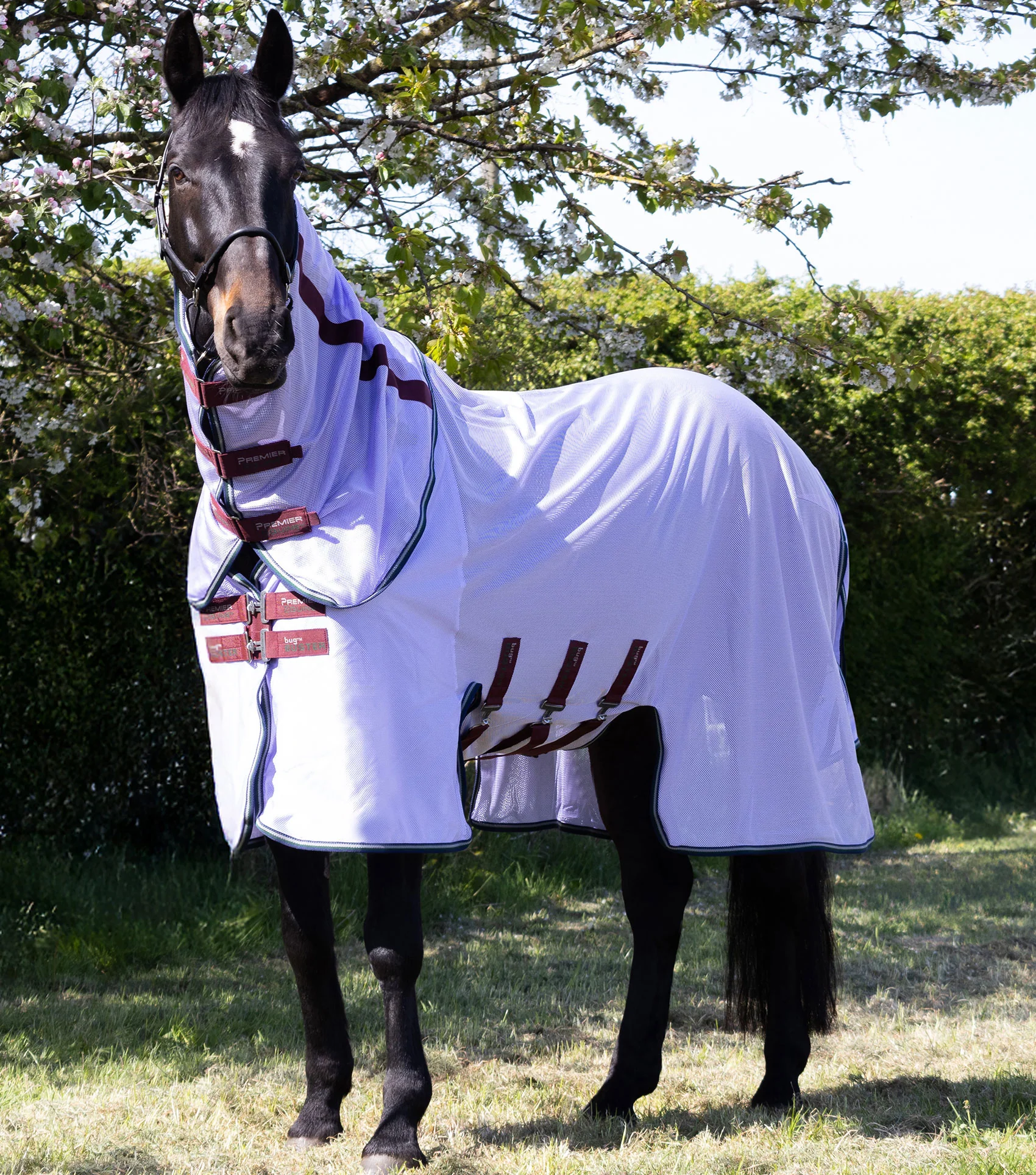 NQP - Bug Buster Fly Rug with Detachable Neck and Belly Flap Lavender