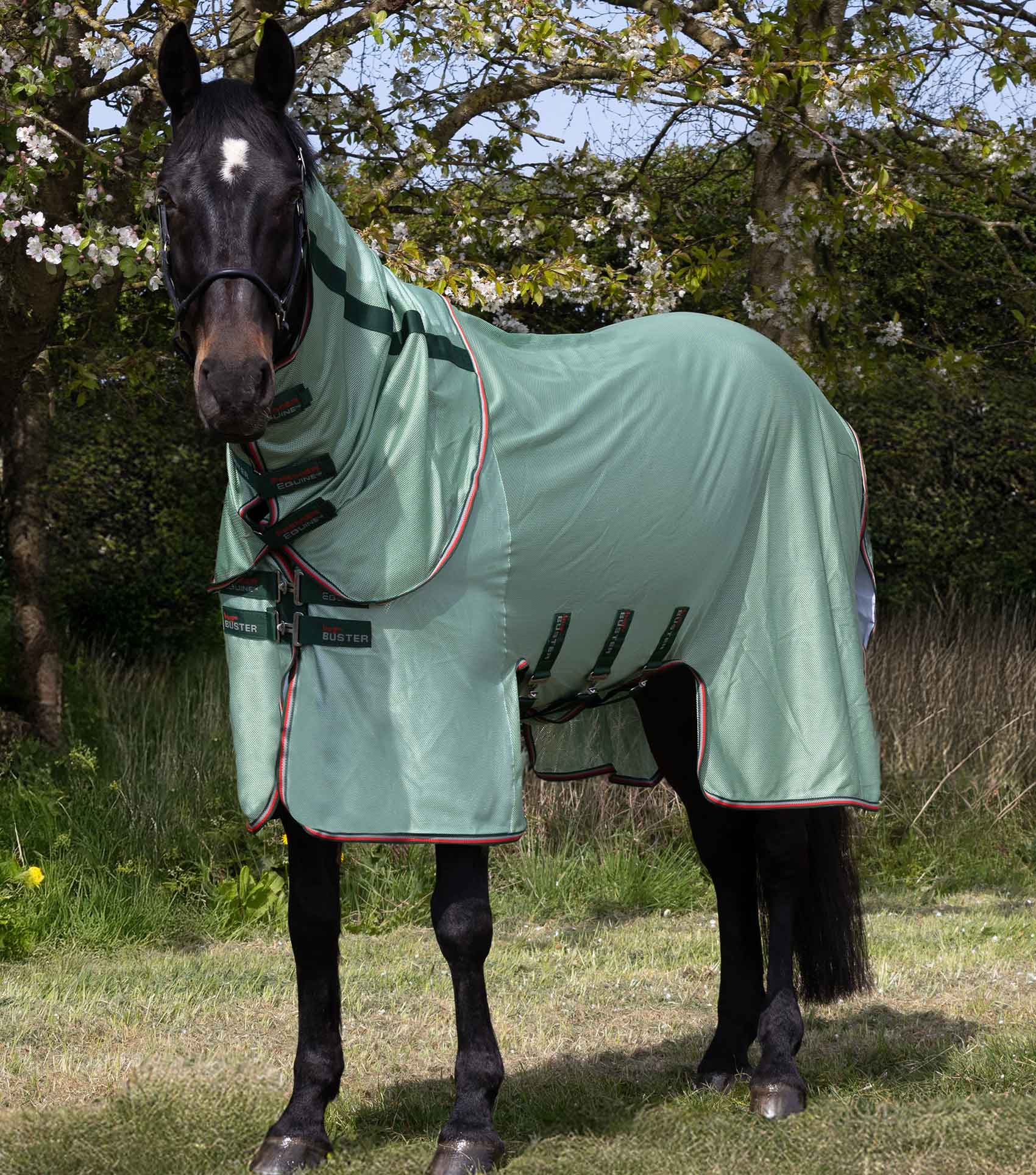 NQP Bug Buster Fly Rug with Detachable Neck and Belly Flap Mint Green