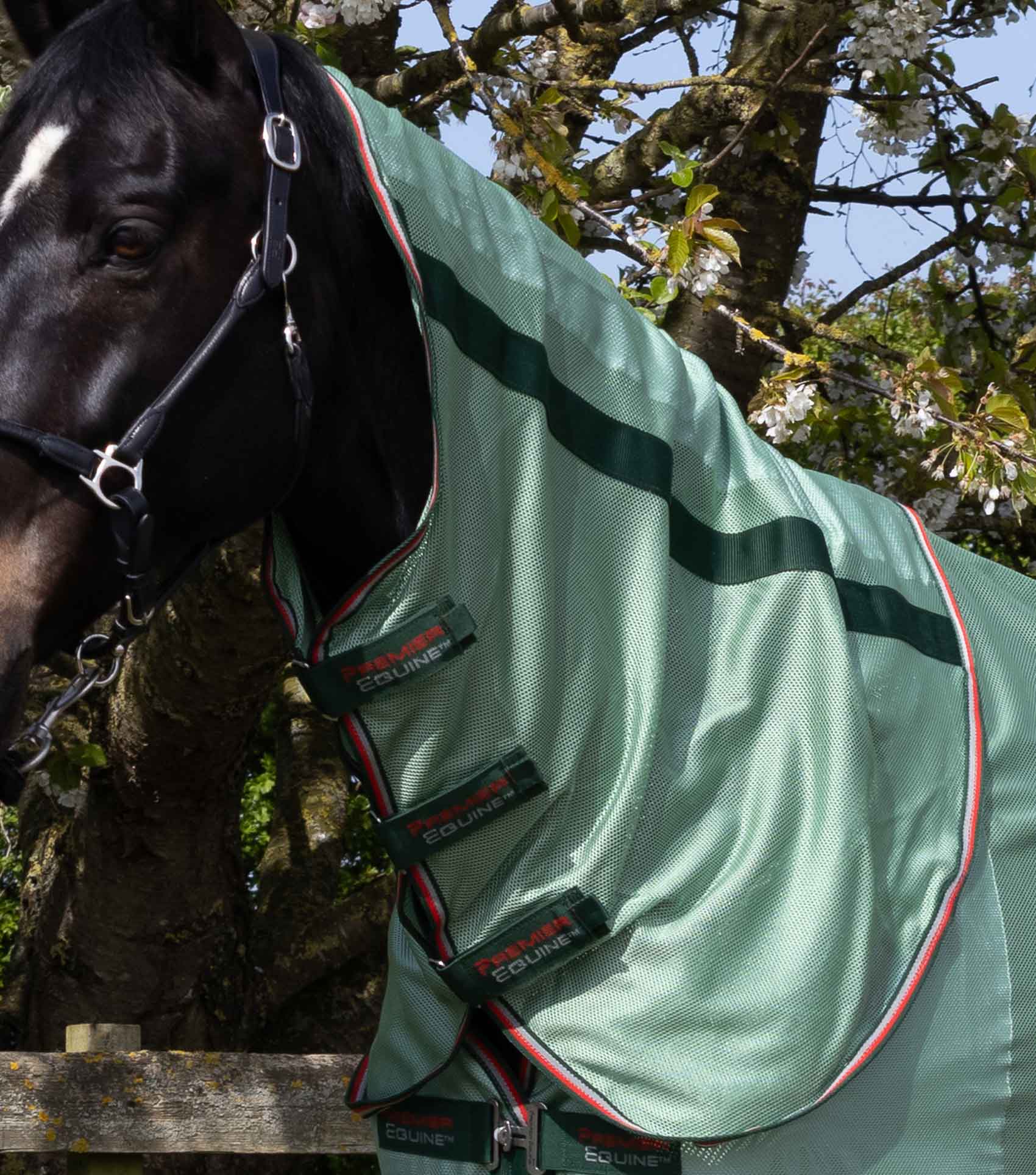 NQP Bug Buster Fly Rug with Detachable Neck and Belly Flap Mint Green - Image 2