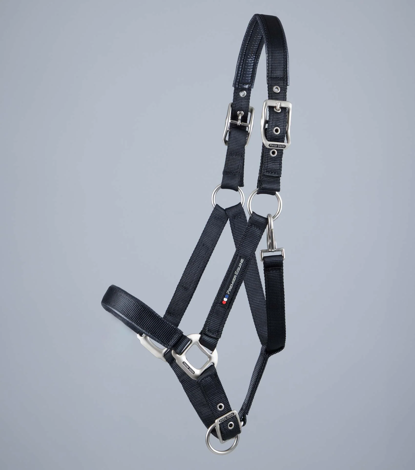 NQP-Plain Padded Horse Head Collar Black - Image 2