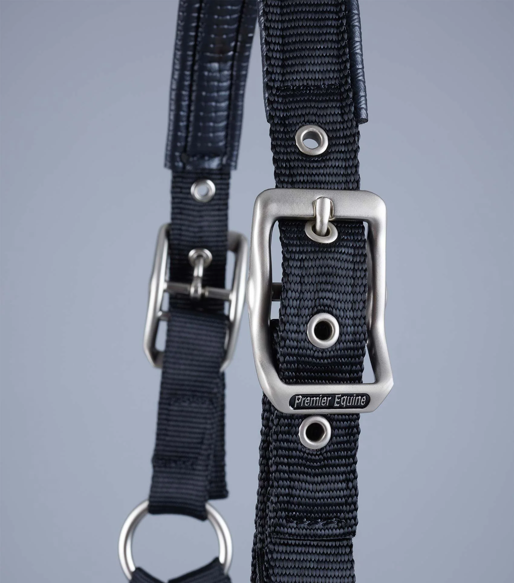 NQP-Plain Padded Horse Head Collar Black - Image 4