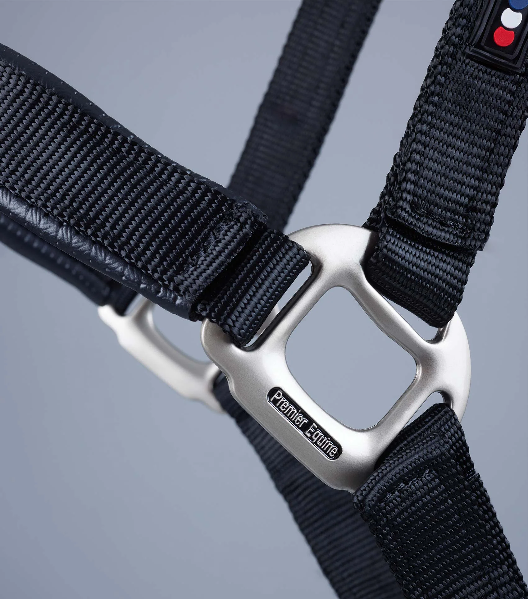 NQP-Plain Padded Horse Head Collar Black - Image 6