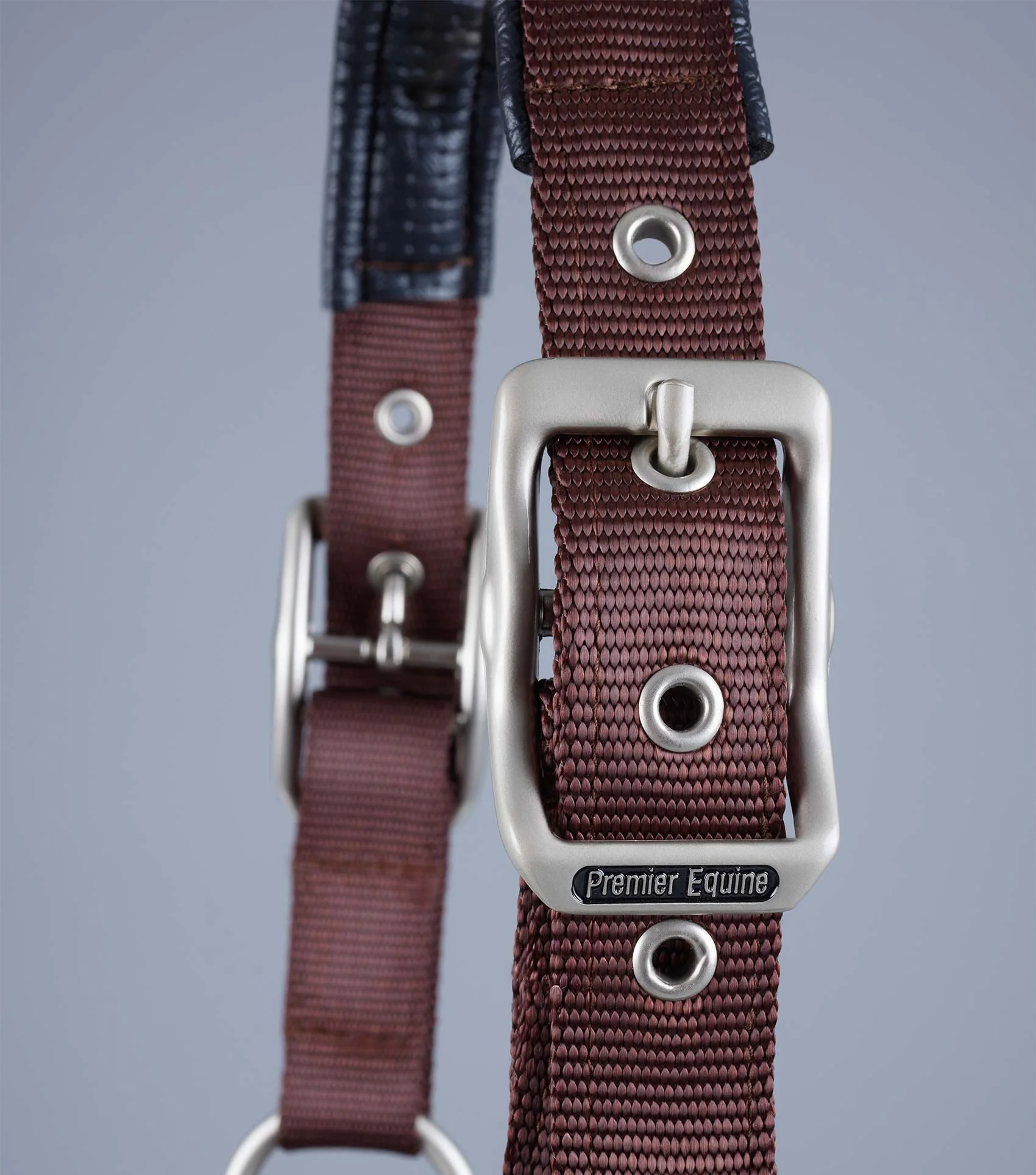 NQP-Plain Padded Horse Head Collar Brown - Image 4