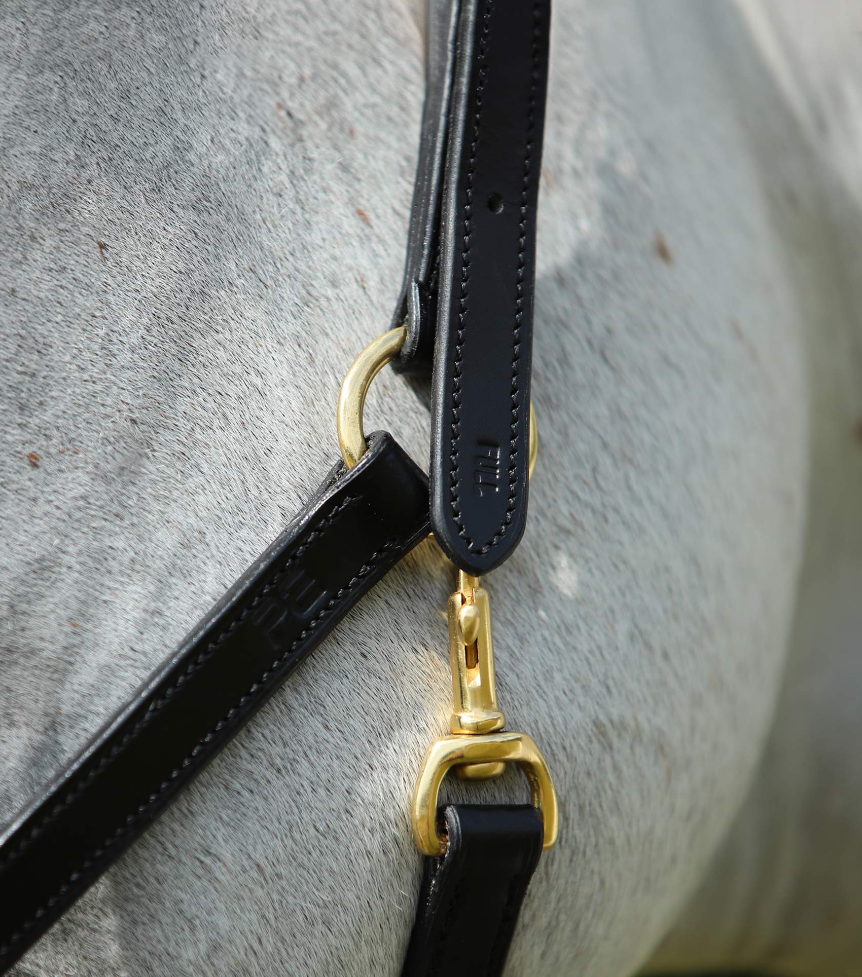 Pasco Plain Leather Head Collar Black - Image 2