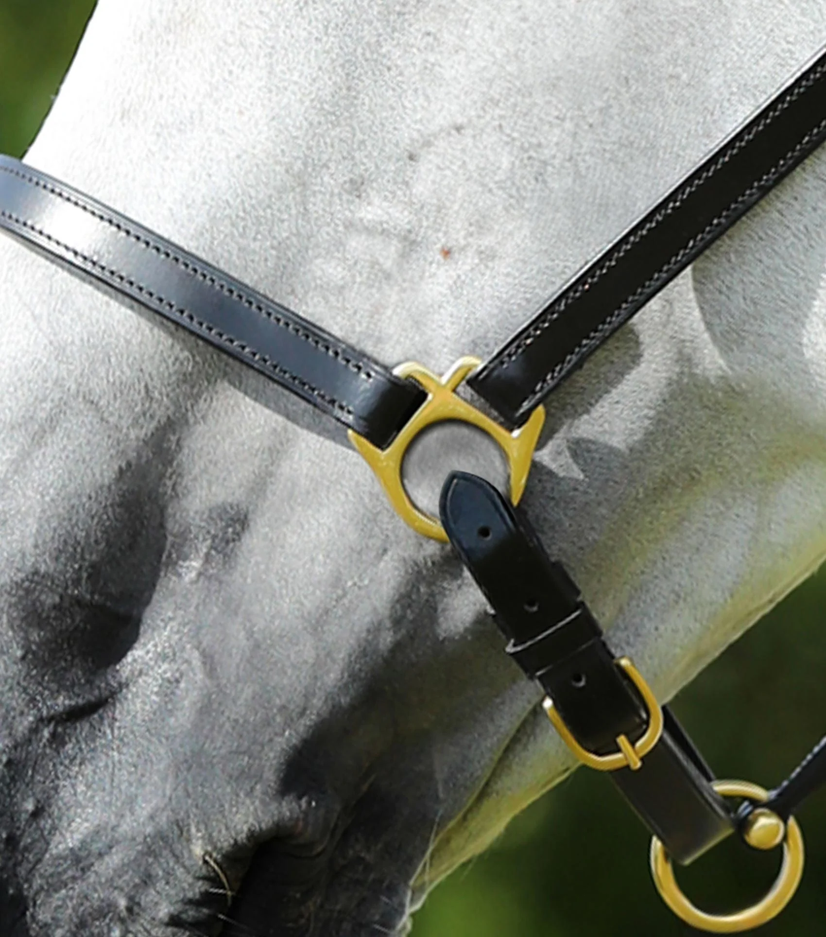Pasco Plain Leather Head Collar Black - Image 3