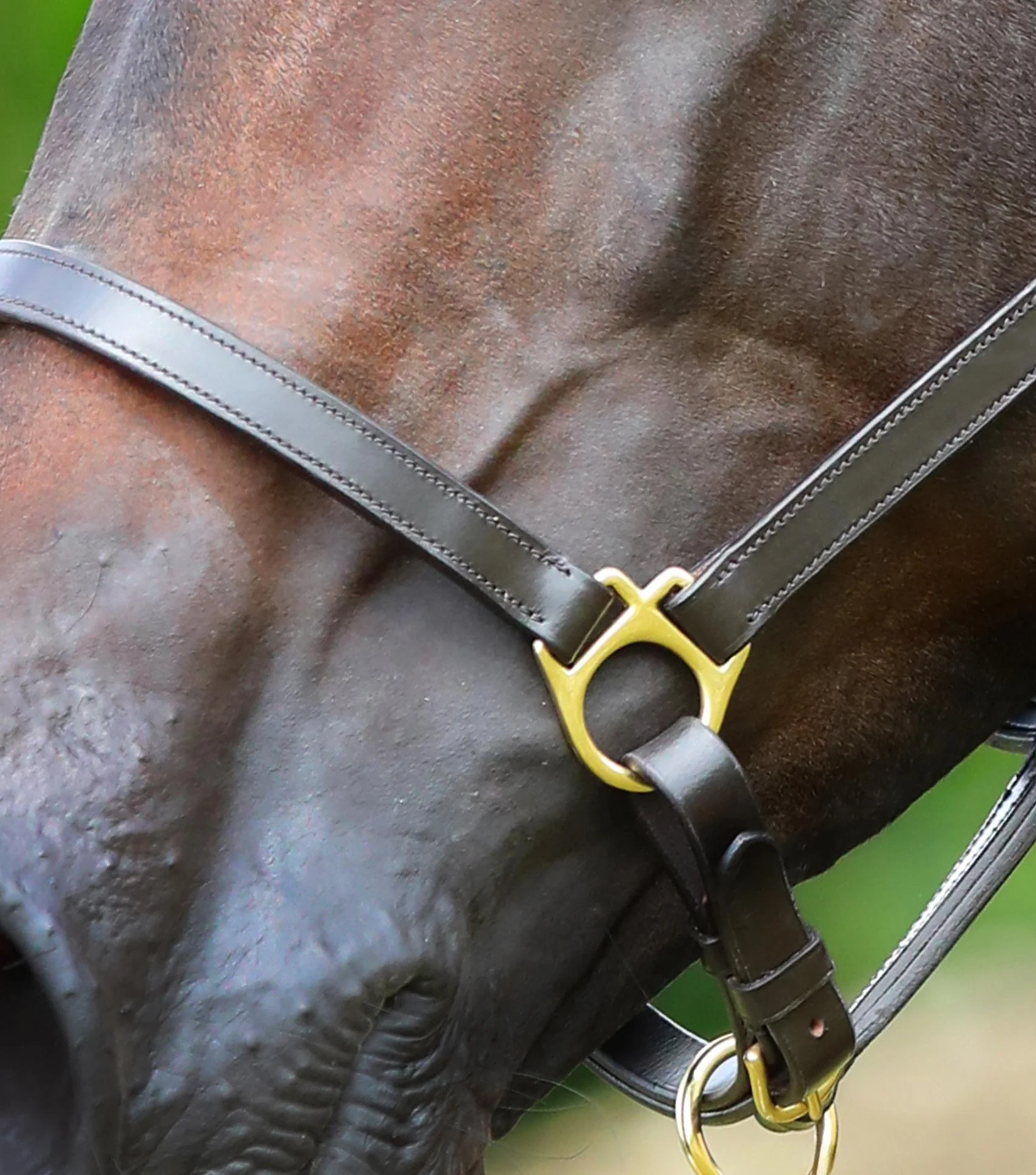 Pasco Plain Leather Head Collar Brown - Image 3