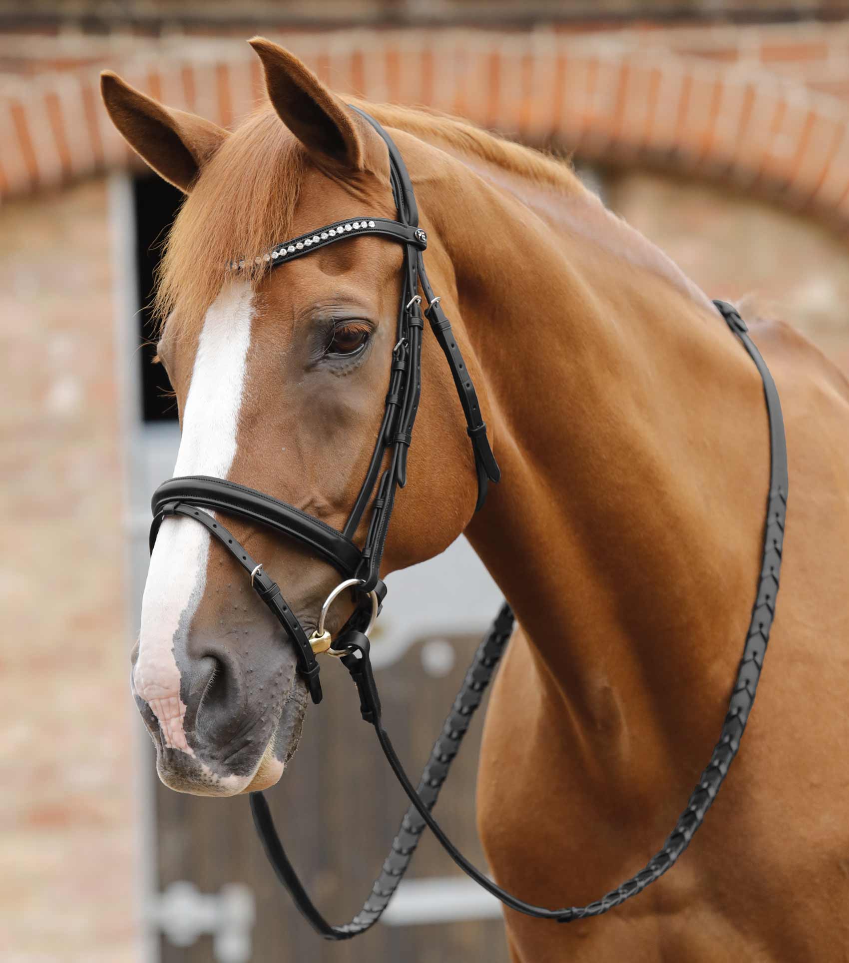 Pietro Laced Reins Black - Image 2