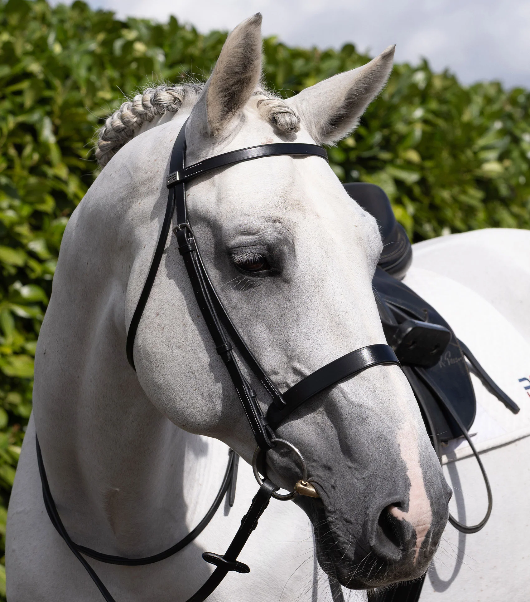 Plain Browband for Hunter Bridle Black - Image 6