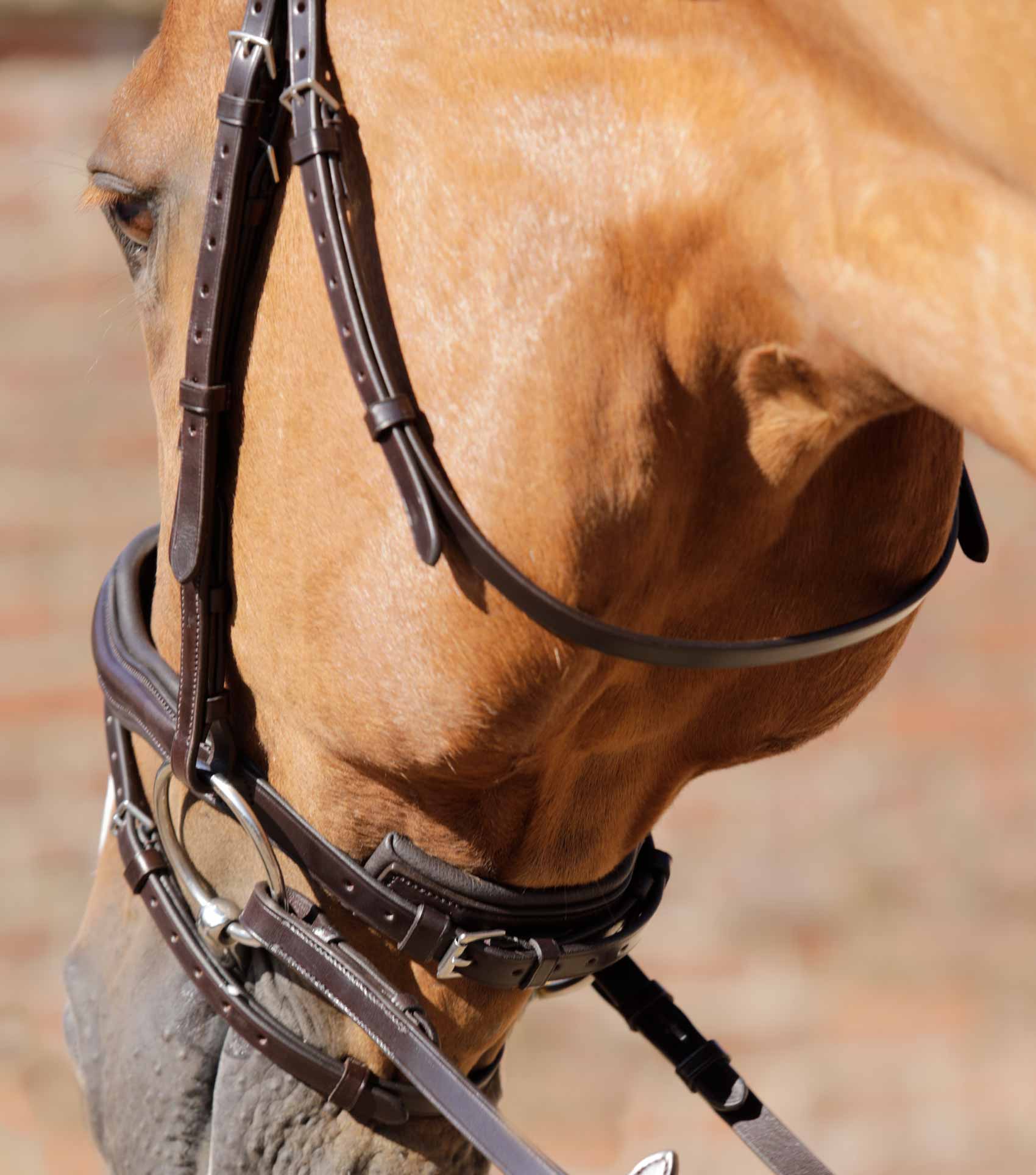 Premier Equine Throatlash Brown - Image 2