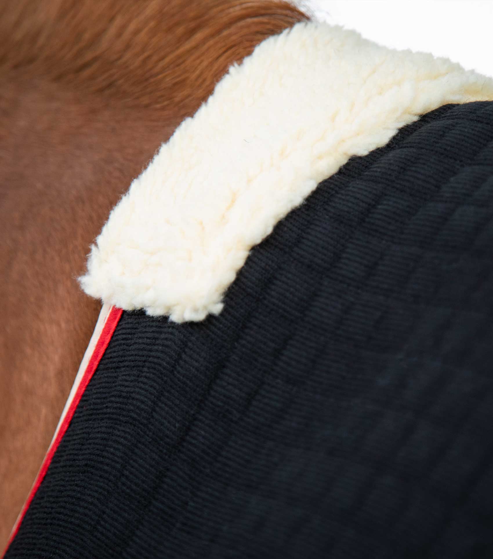 PremTex Horse Cooler Rug Black - Image 2