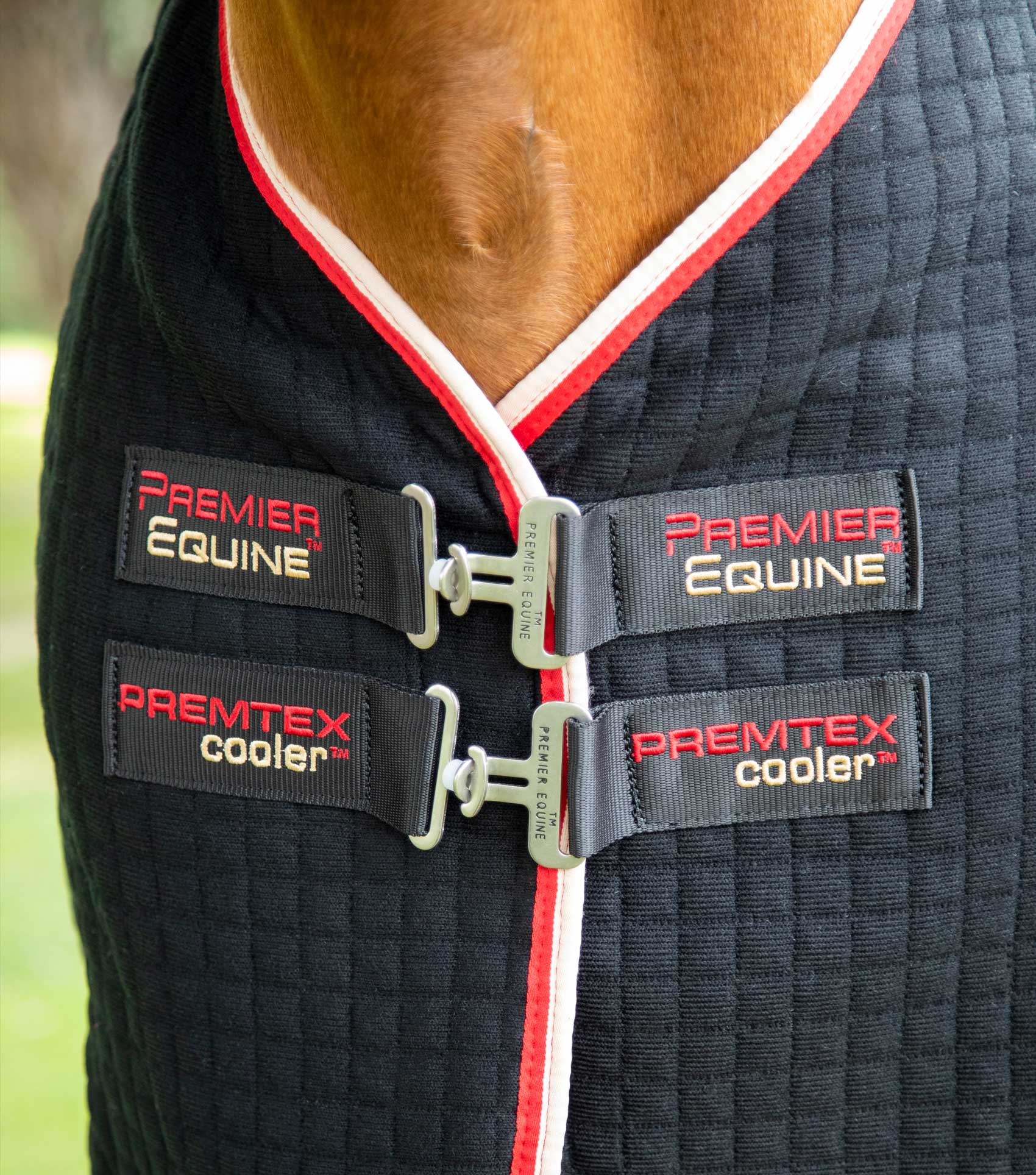 PremTex Horse Cooler Rug Black - Image 3