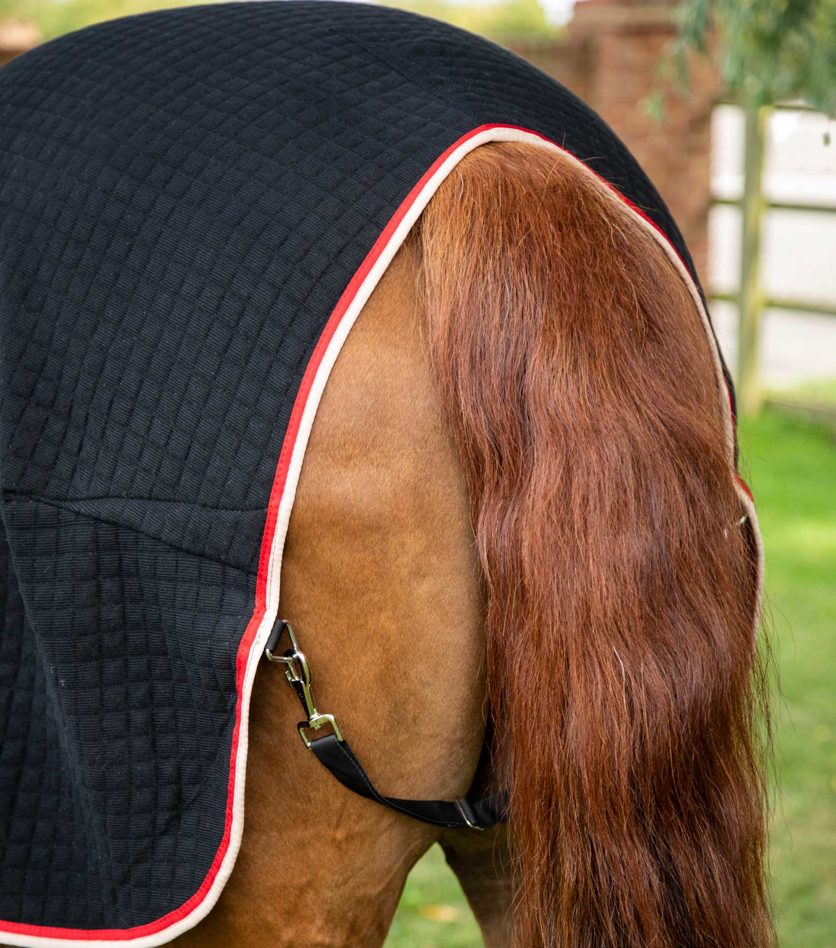 PremTex Horse Cooler Rug Black - Image 5