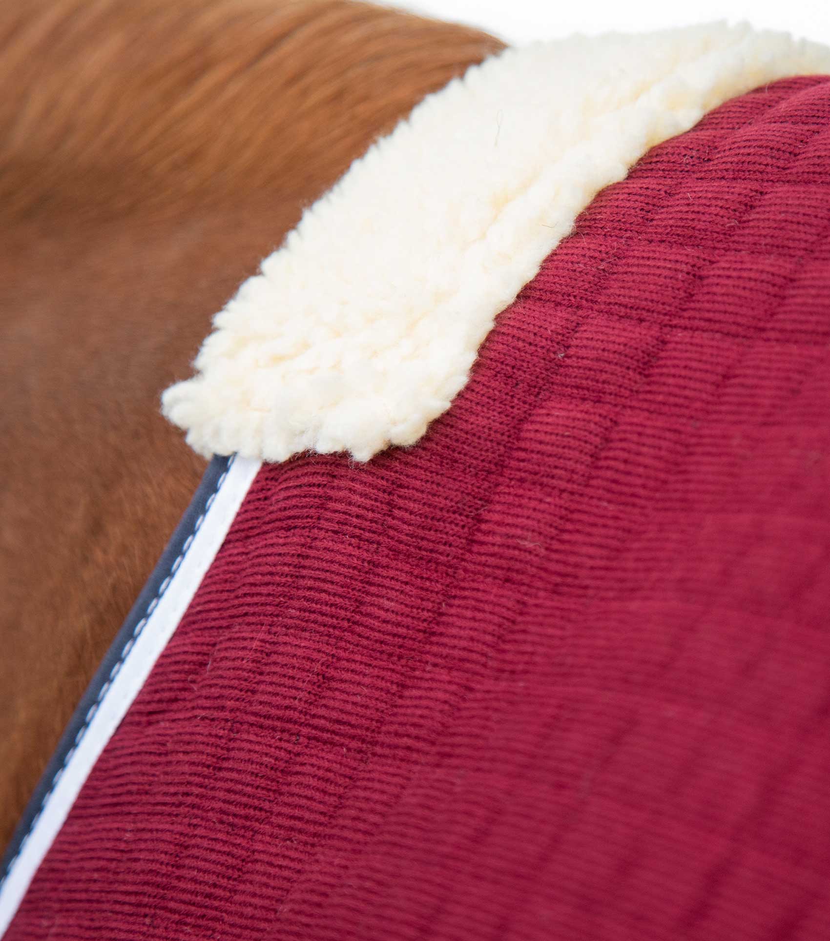 PremTex Horse Cooler Rug Burgundy - Image 2