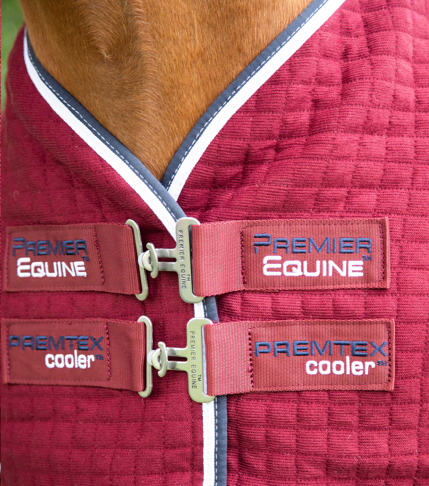 PremTex Horse Cooler Rug Burgundy - Image 3