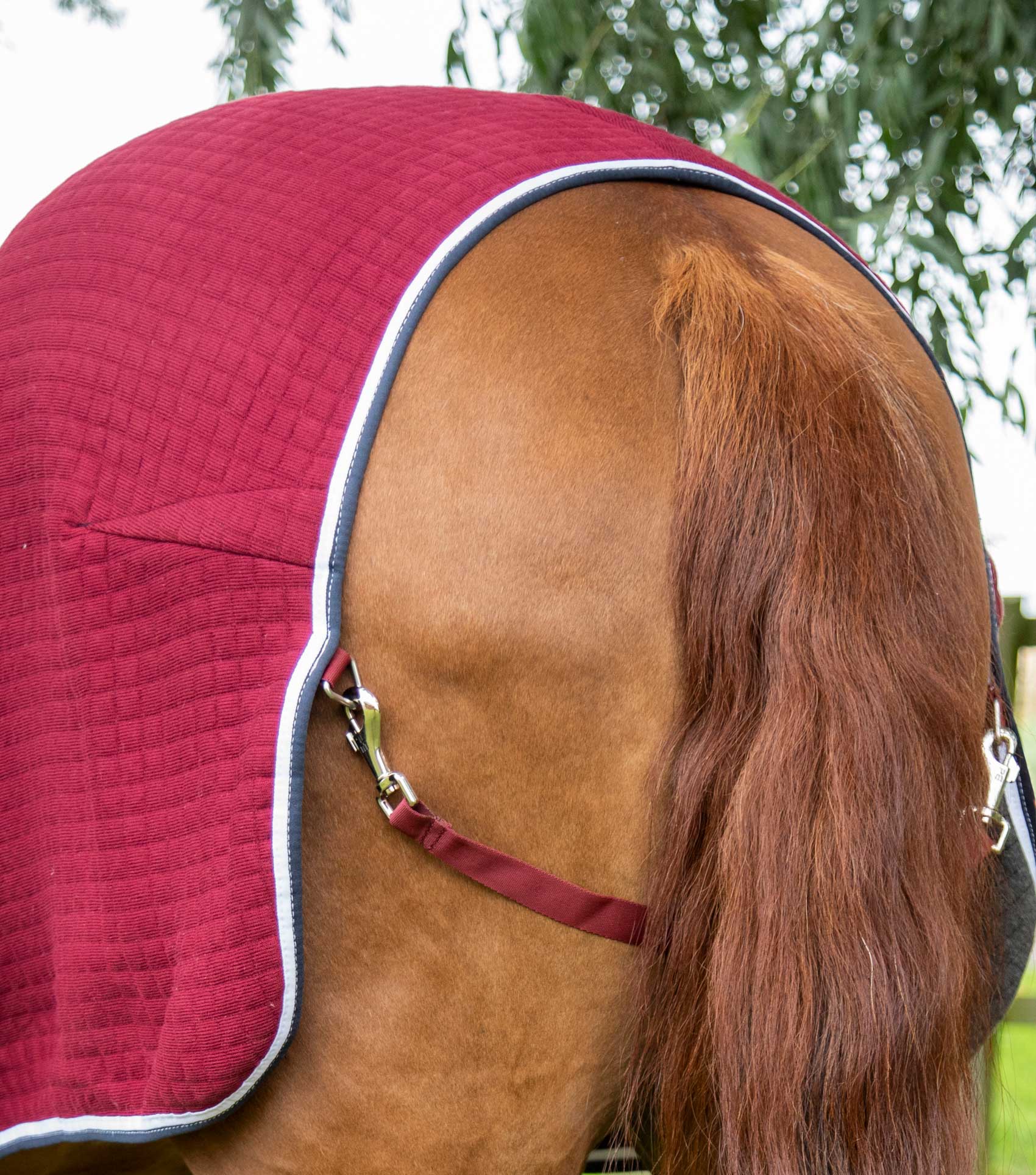 PremTex Horse Cooler Rug Burgundy - Image 5