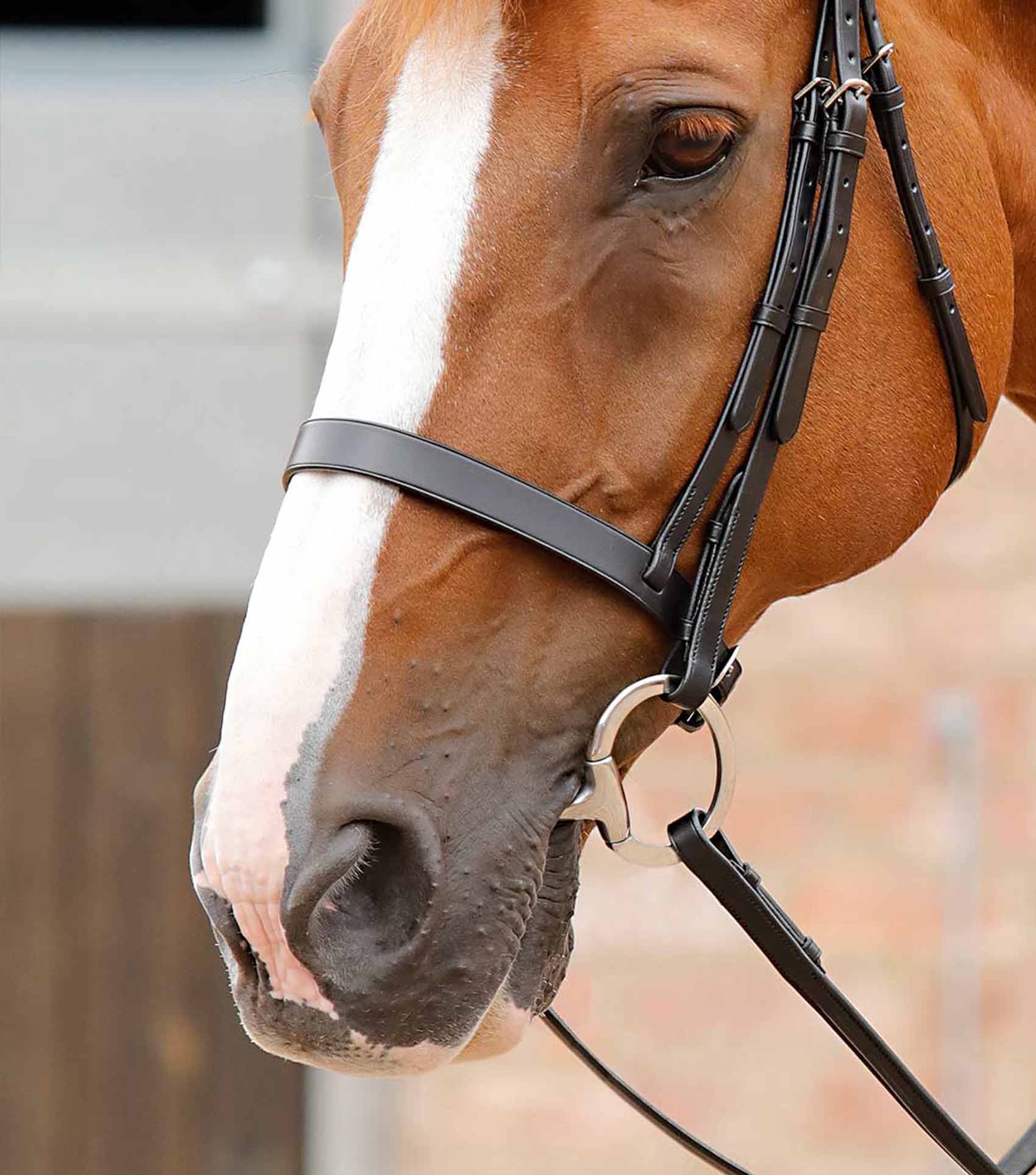 Primo Hunter Cavesson Noseband Black - Image 2