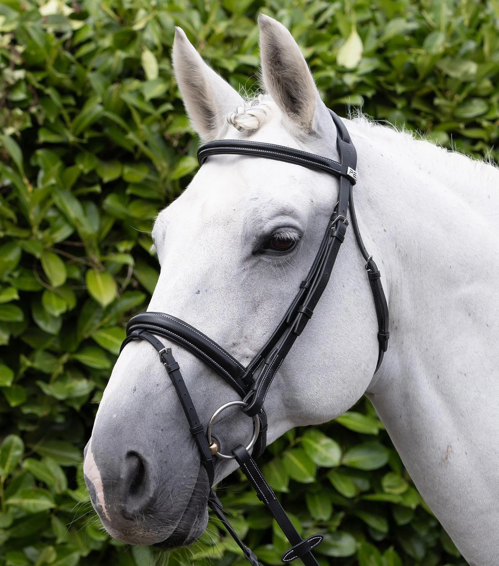 Pro Elevator Bridle Black