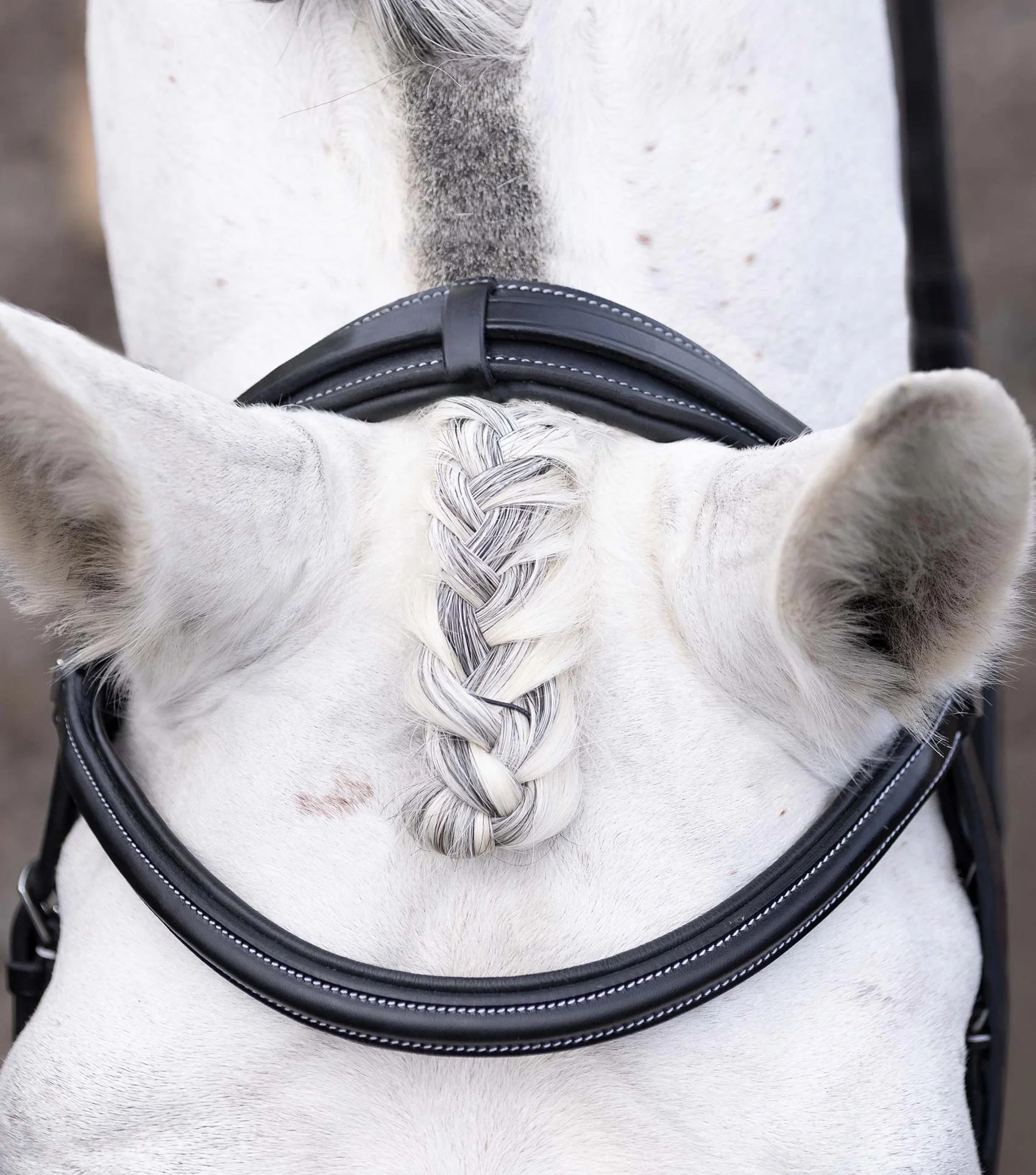 Pro Elevator Bridle Headpiece Black - Image 2