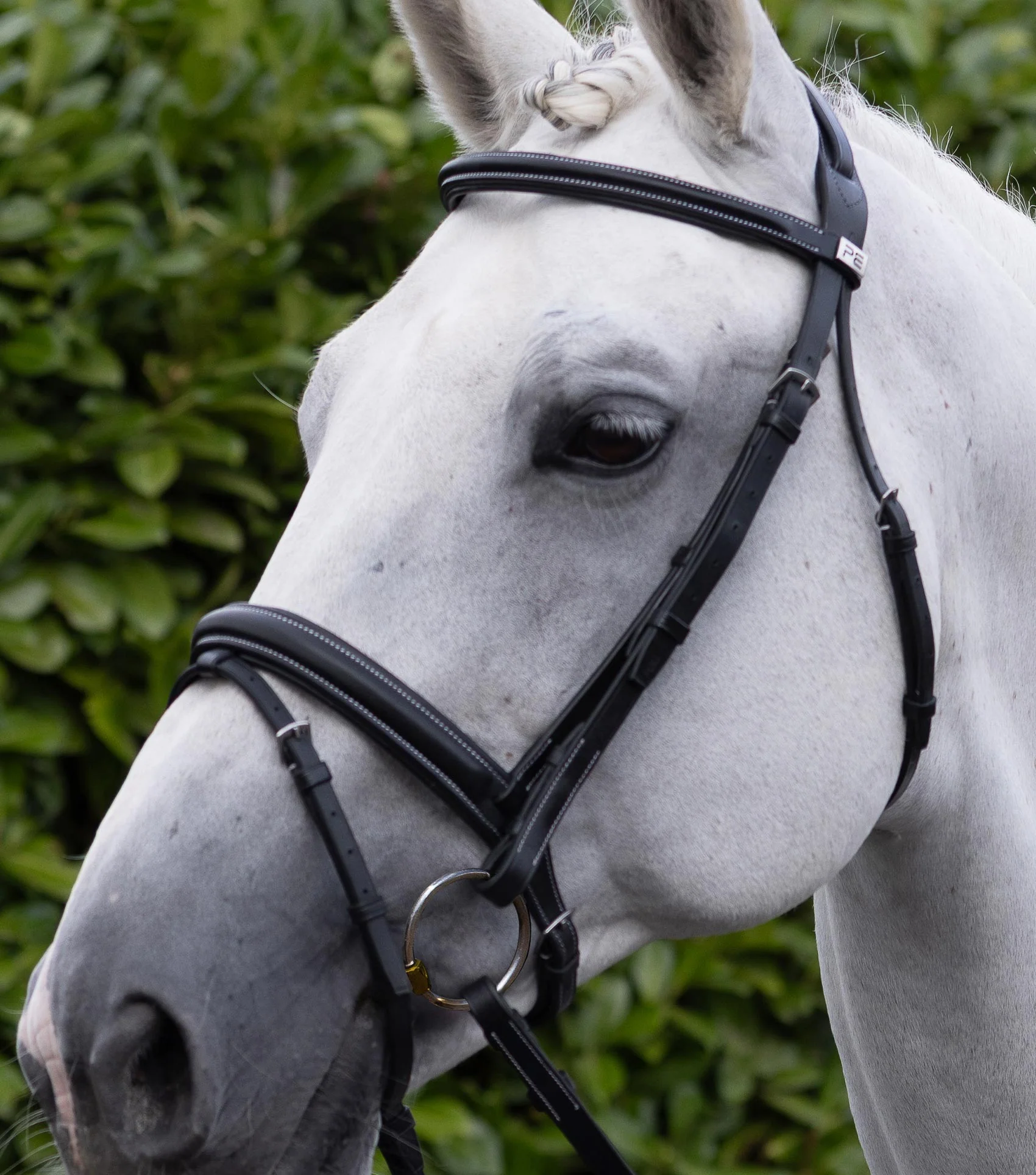 Pro Elevator Bridle Headpiece Black - Image 6