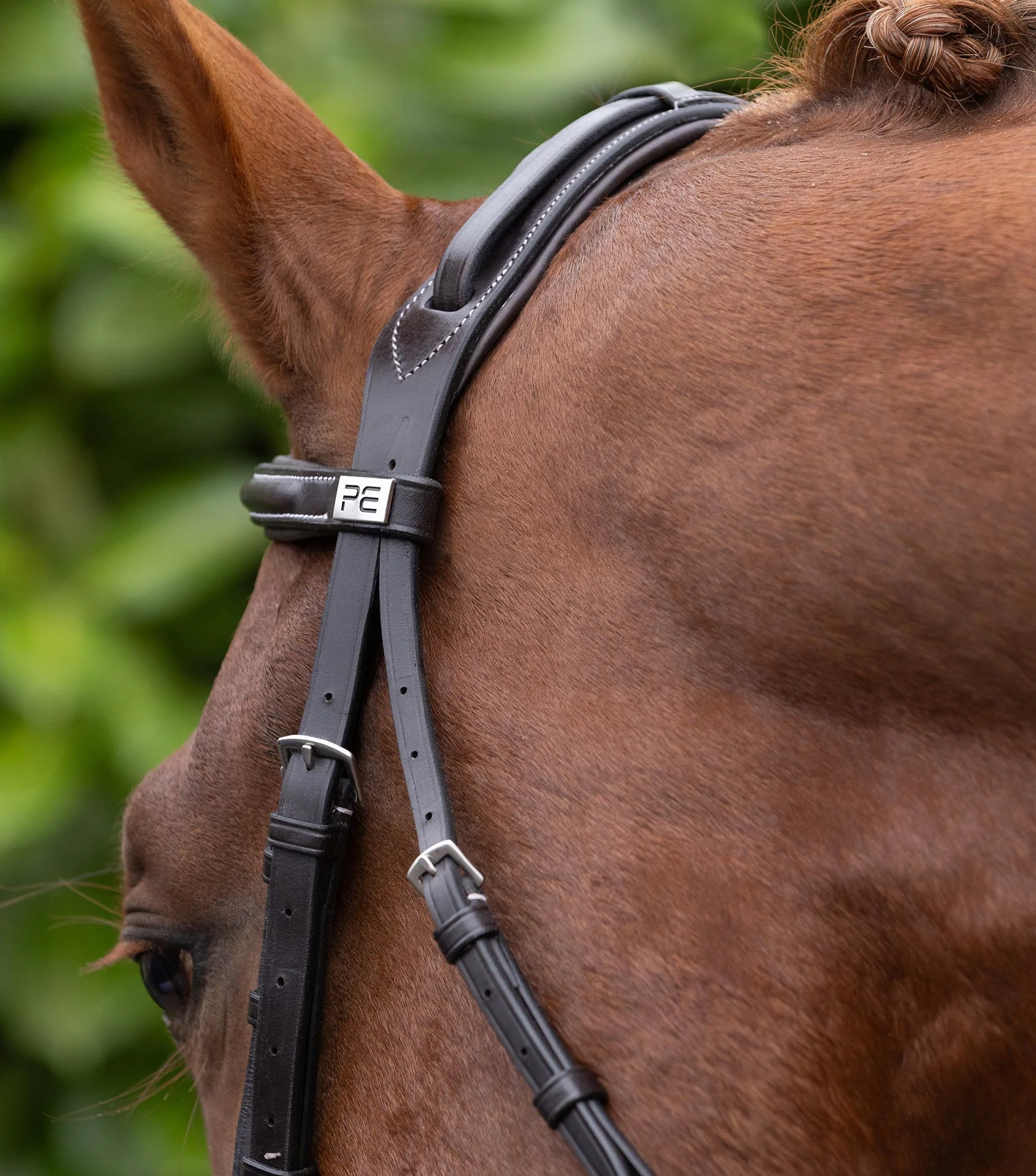 Pro Elevator Bridle Headpiece Dark Havana - Image 2