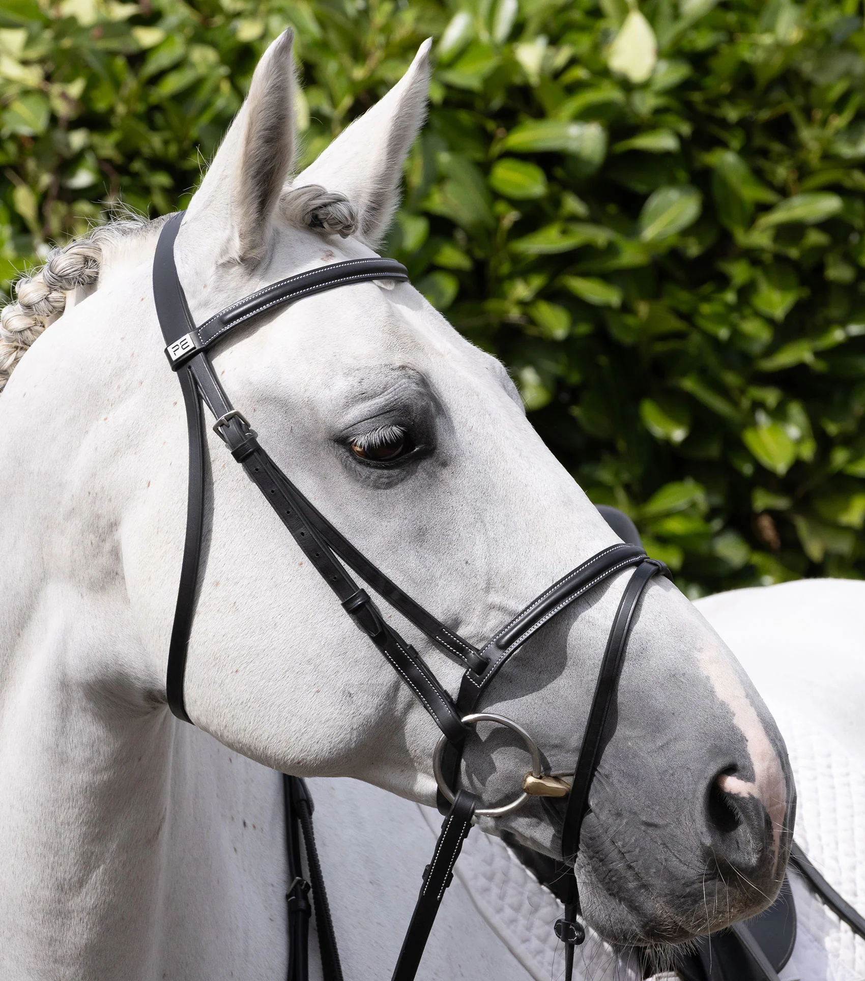 Raised Browband for Raised Jump Bridle Black - Image 6