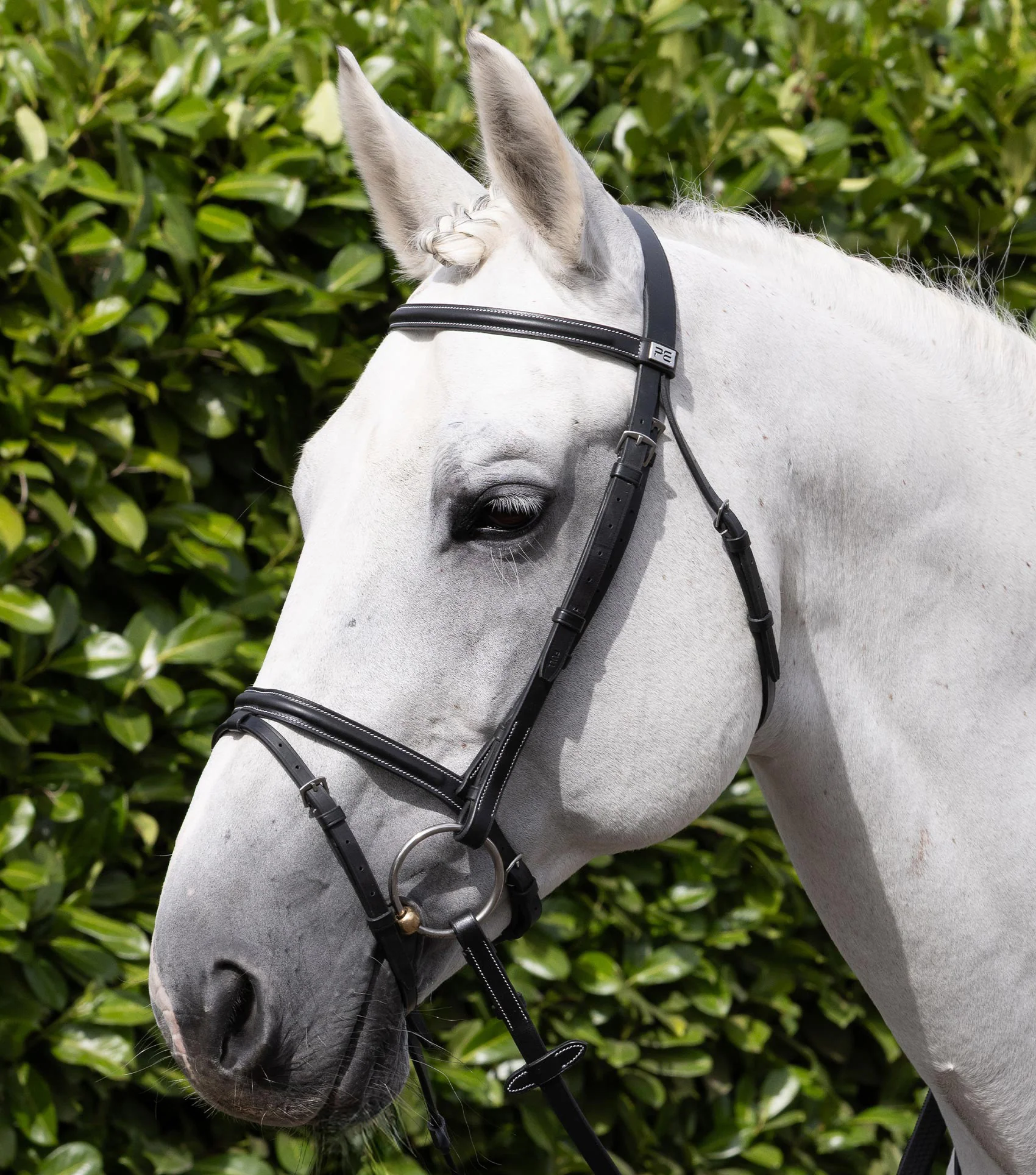 Raised Jumping Noseband Black - Image 6