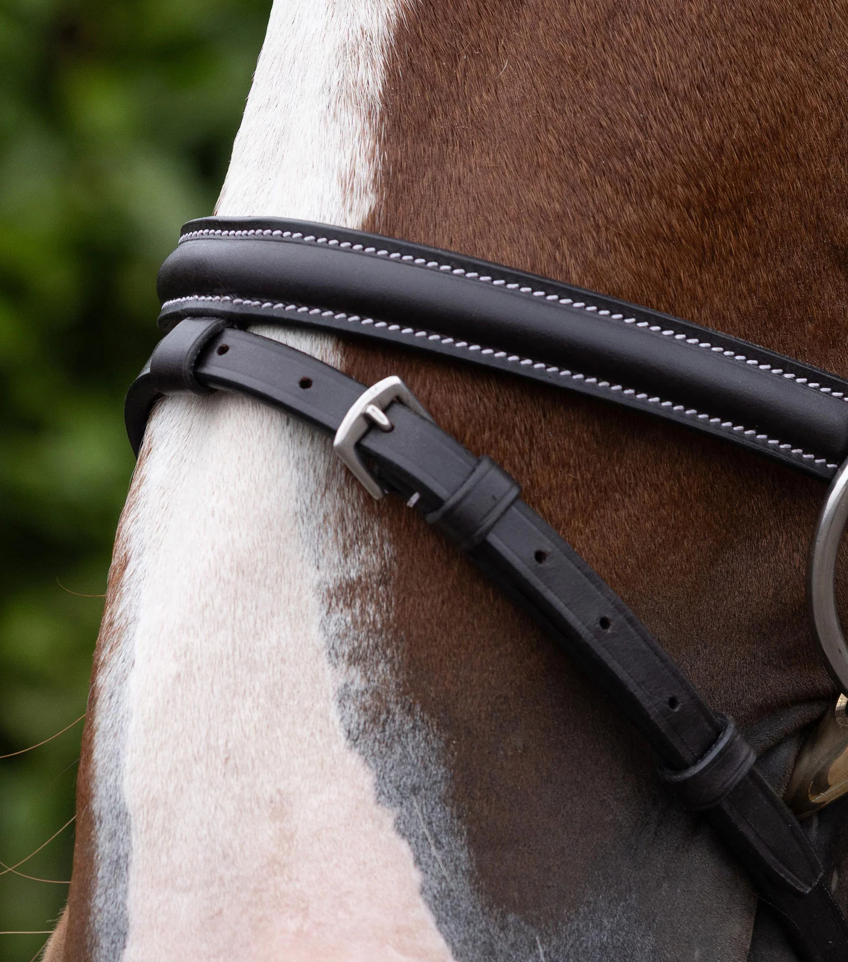 Raised Jumping Noseband Dark Havana - Image 2