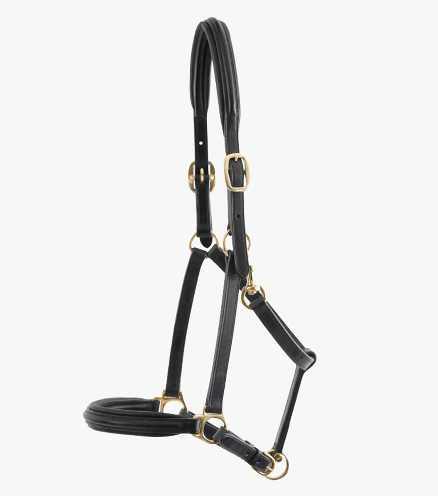 Rego Padded Leather Head Collar Black - Image 4