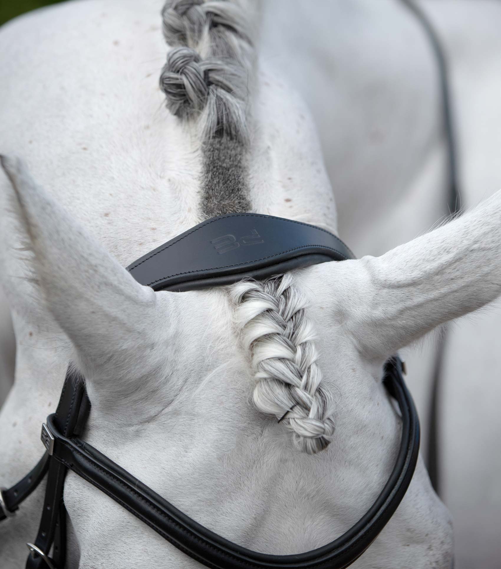 Rizzo Anatomic Snaffle Bridle with Flash Black - Image 2