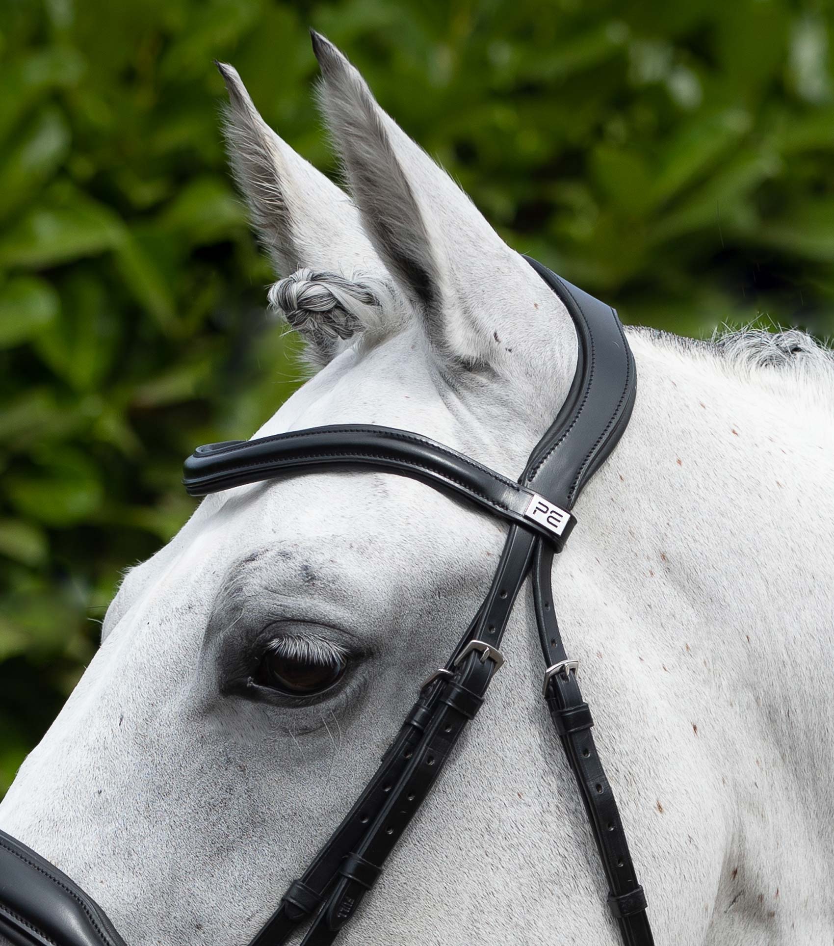Rizzo Anatomic Snaffle Bridle with Flash Black - Image 3