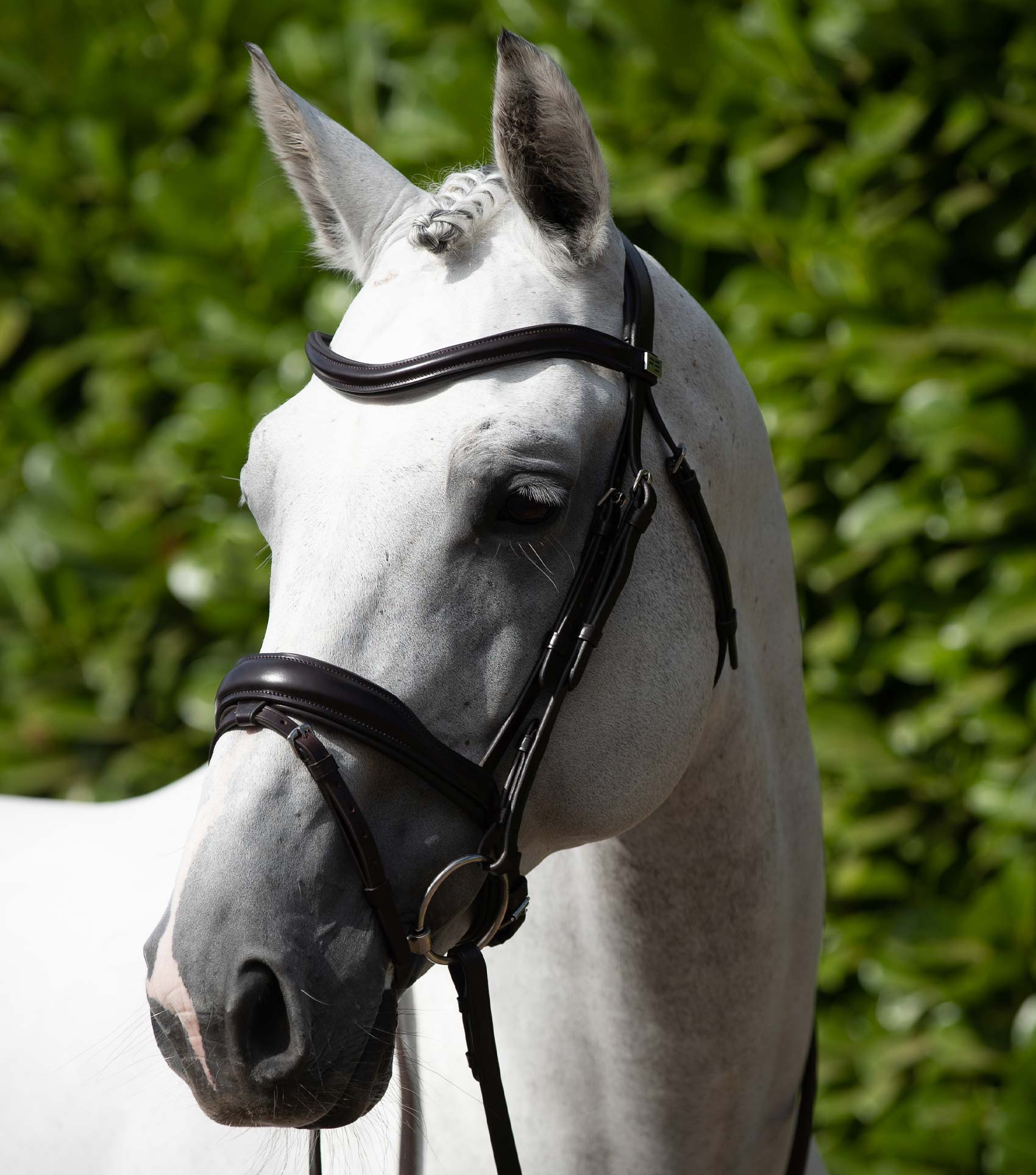 Rizzo Anatomic Snaffle Bridle with Flash Brown