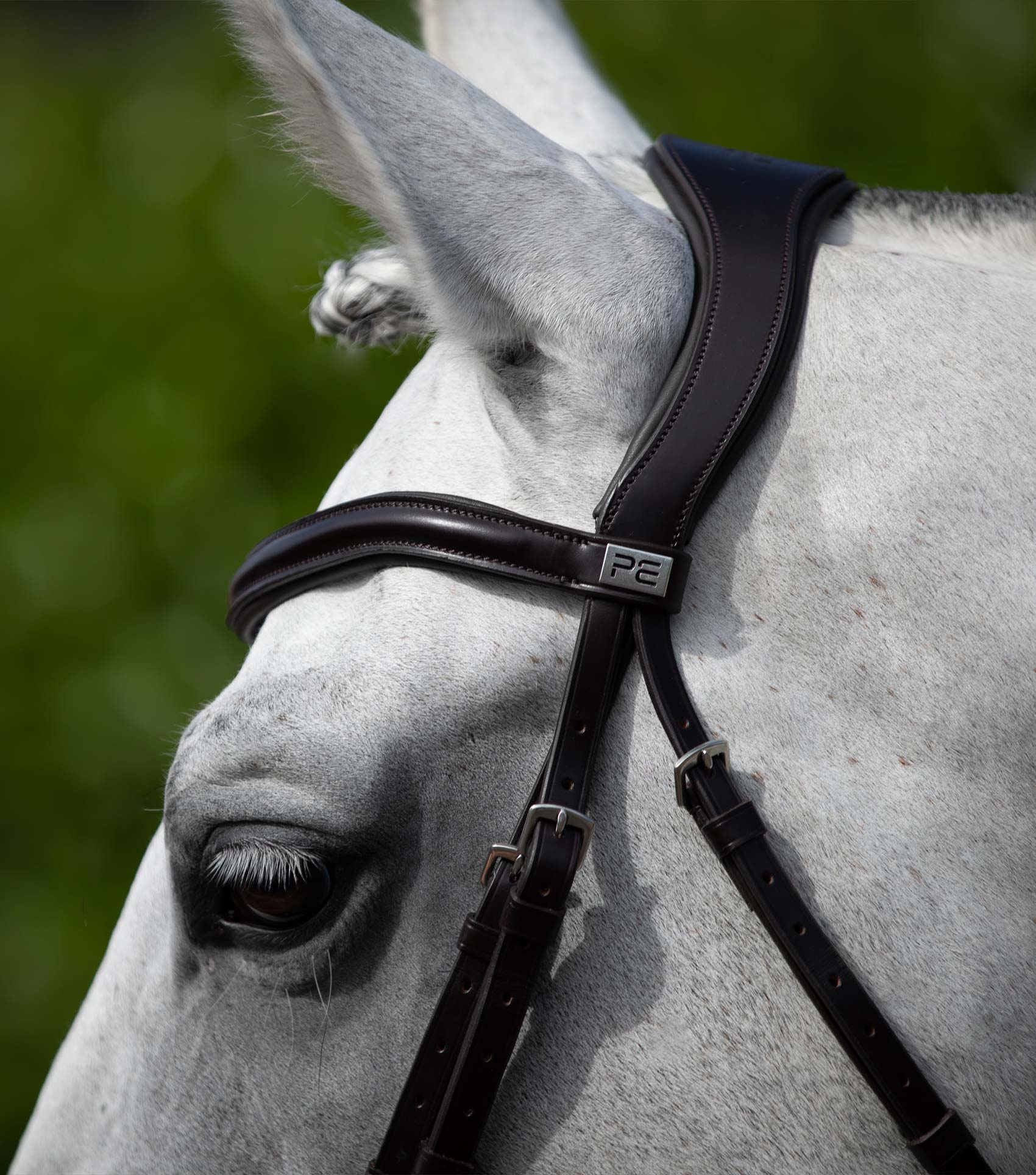 Rizzo Anatomic Snaffle Bridle with Flash Brown - Image 3