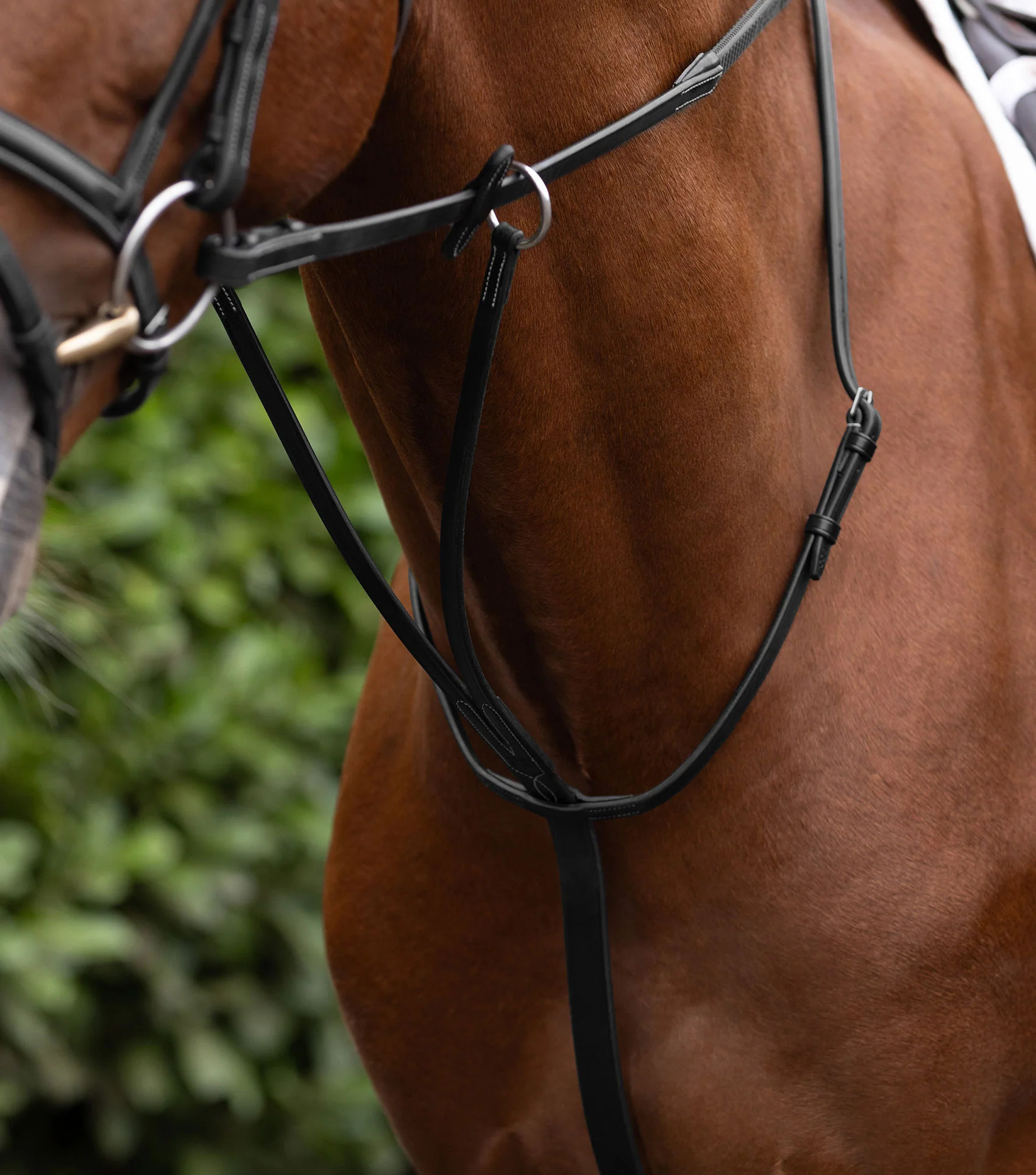 European Running Martingale Black