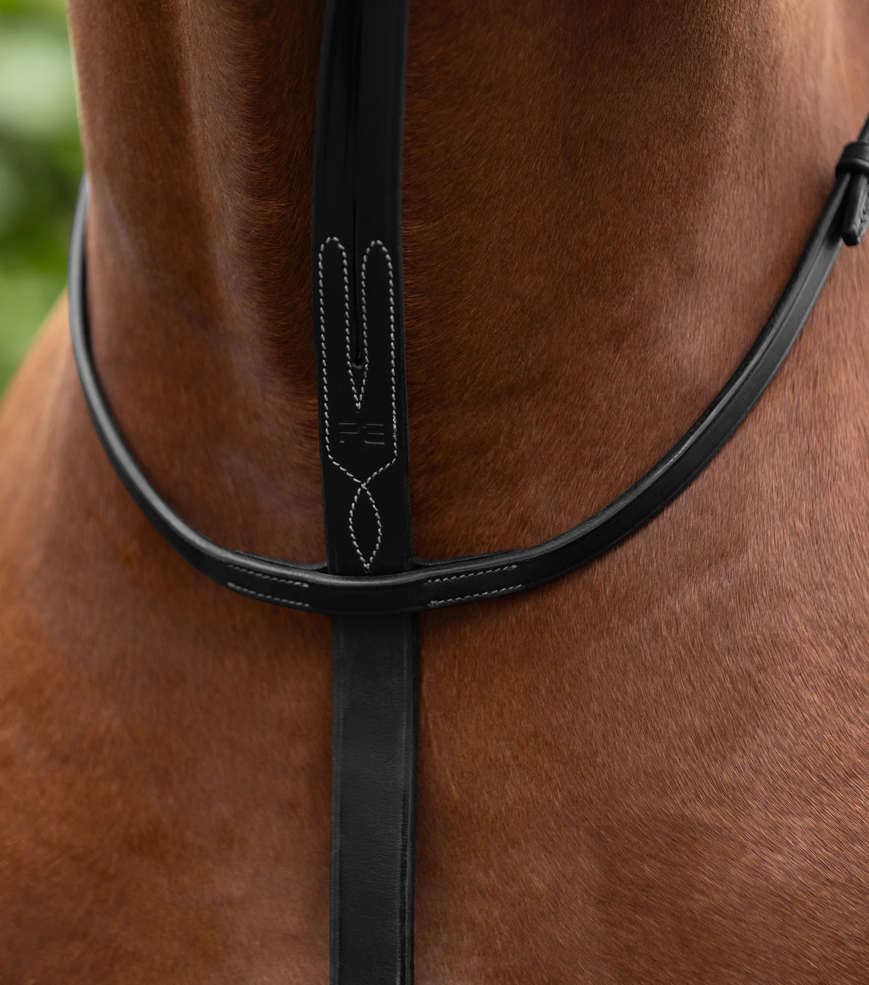 European Running Martingale Black - Image 3