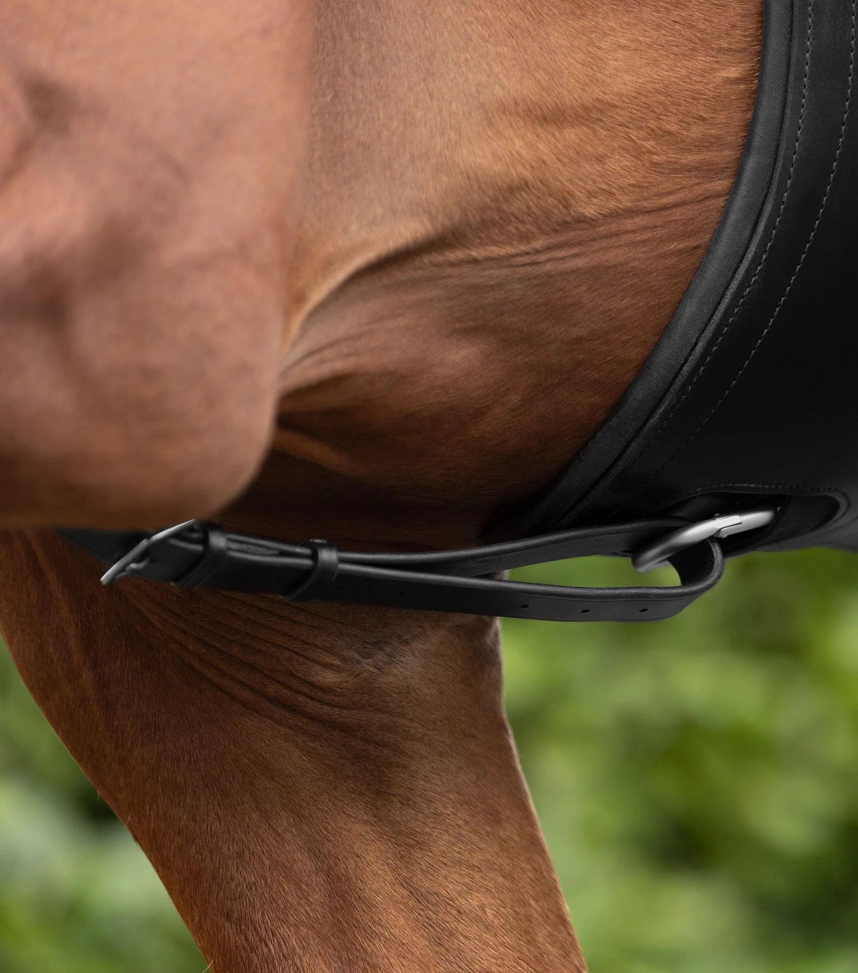 European Running Martingale Black - Image 4