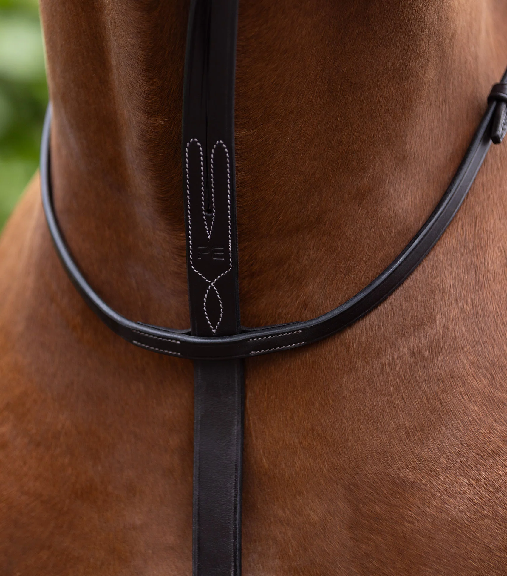 European Running Martingale Dark Havana - Image 3