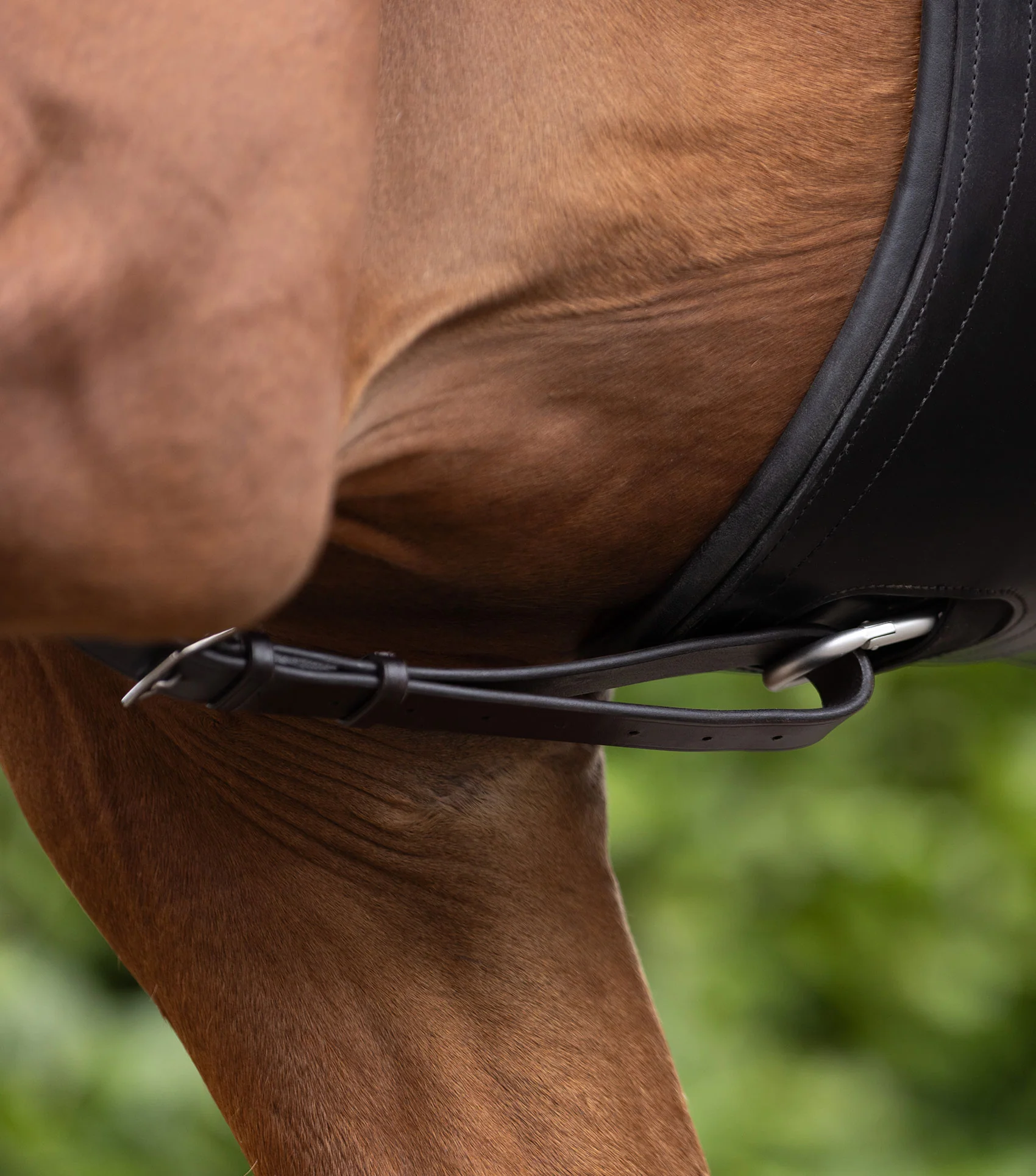 European Running Martingale Dark Havana - Image 4