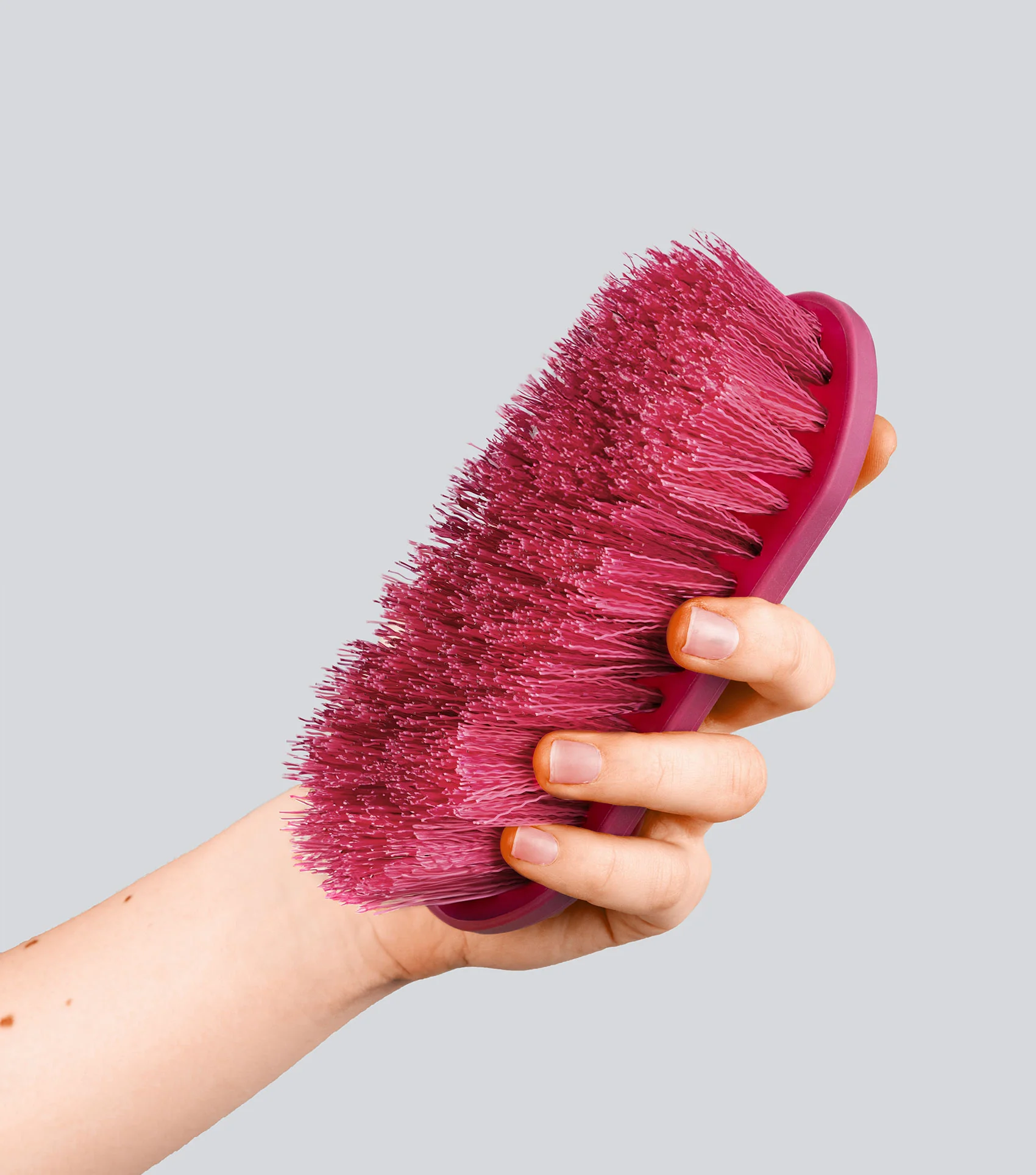 Soft-Touch Dandy Brush - Small Wine & Fuchsia - Image 3