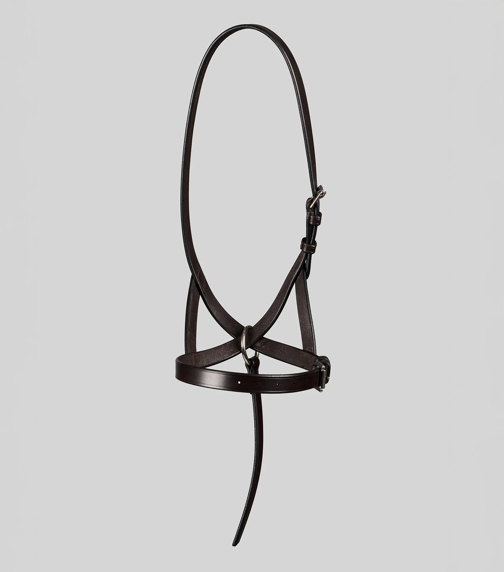Standard Foal Slip 3/4" Dark Havana - Image 6