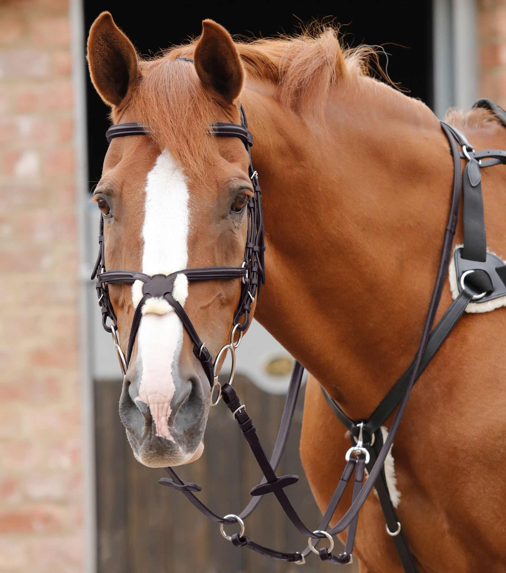 Stefano Rubber Reins Brown - Image 2