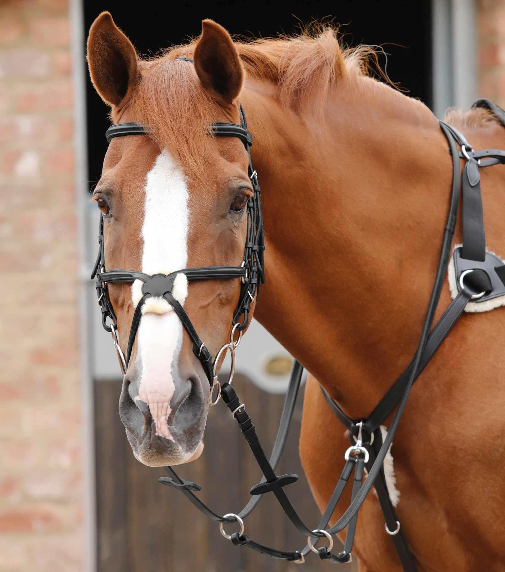 Stefano Rubber Reins Black - Image 2