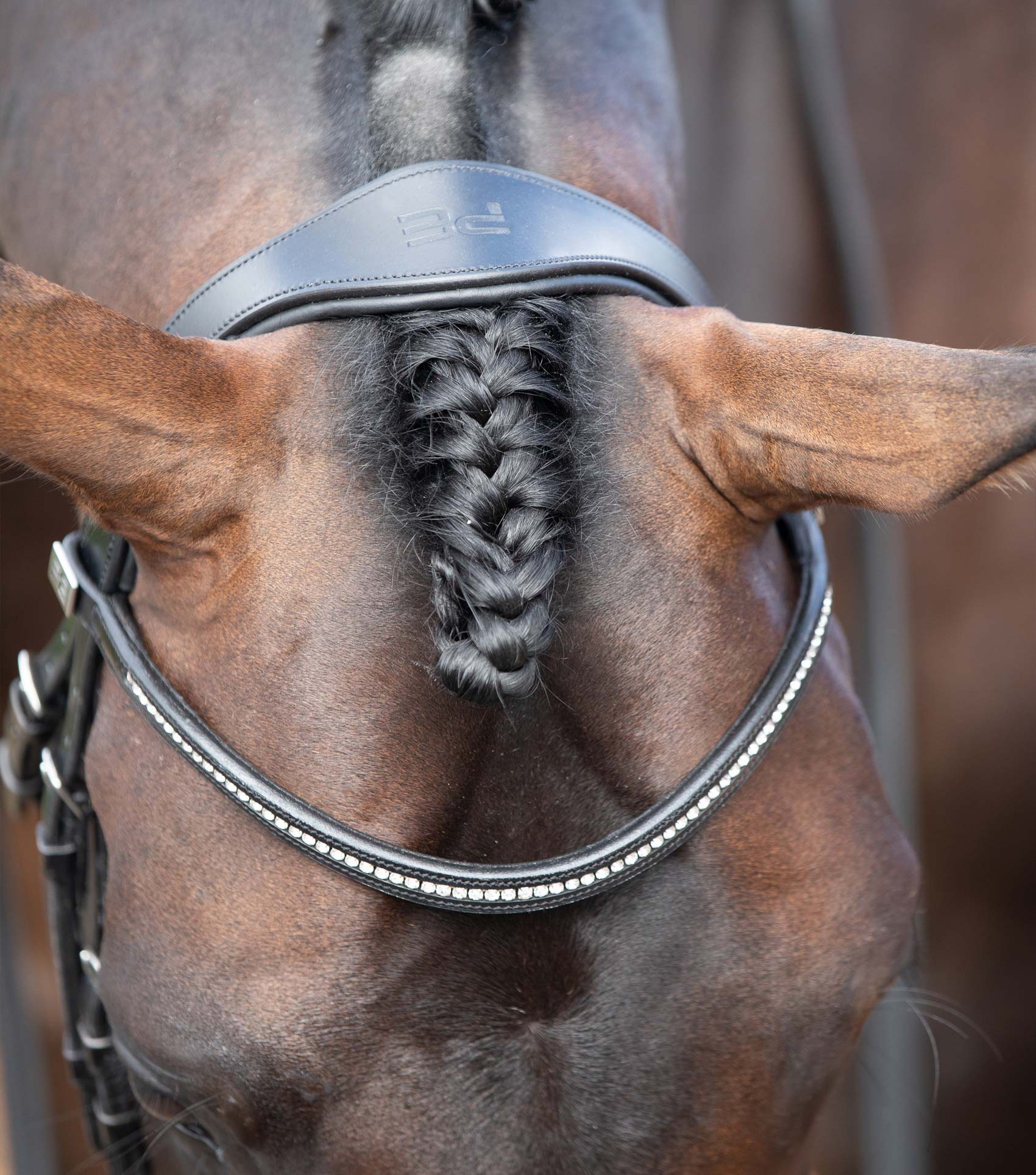 Stellazio Anatomic Snaffle Bridle with Flash Black - Image 2