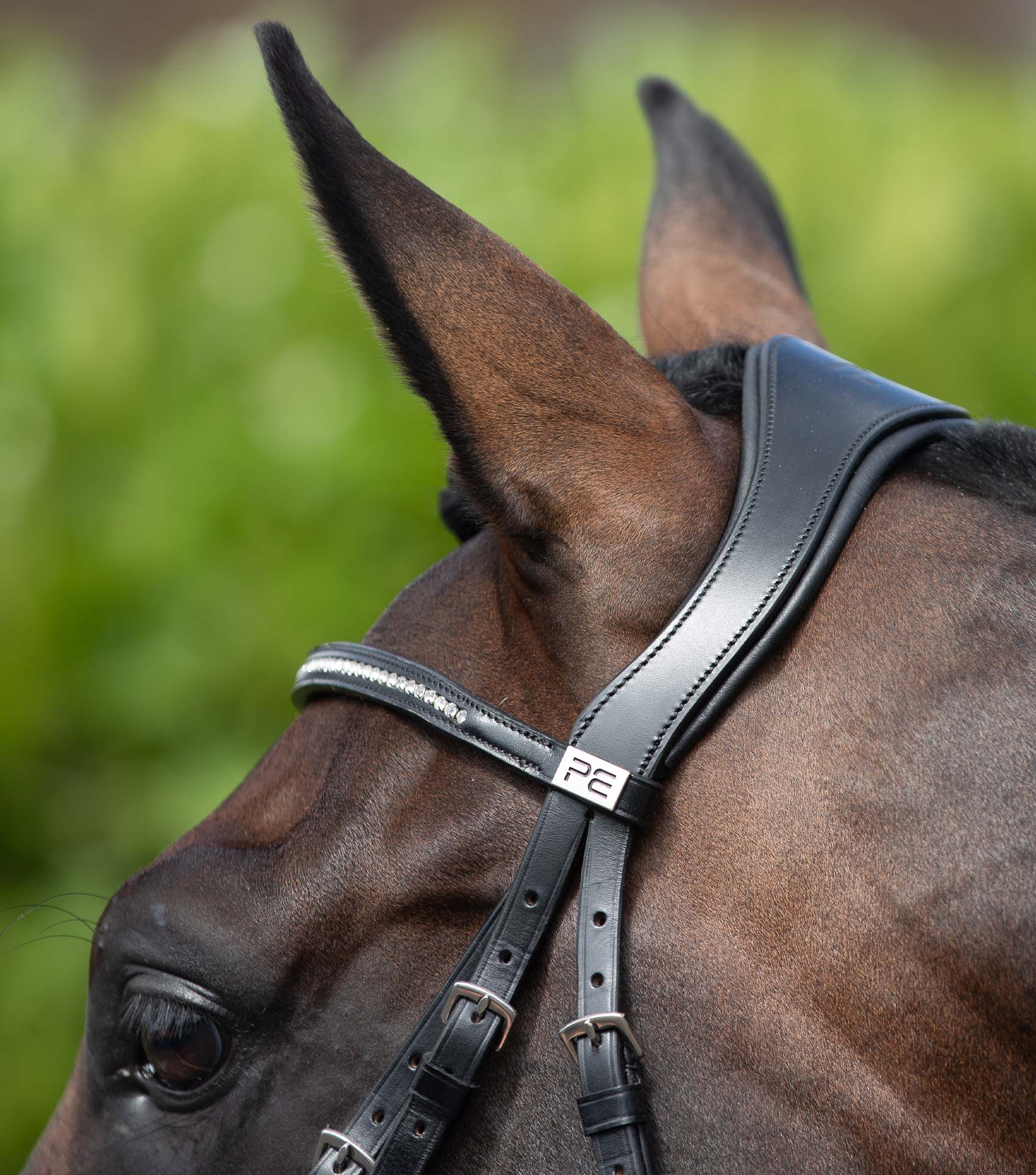 Stellazio Anatomic Snaffle Bridle with Flash Black - Image 3
