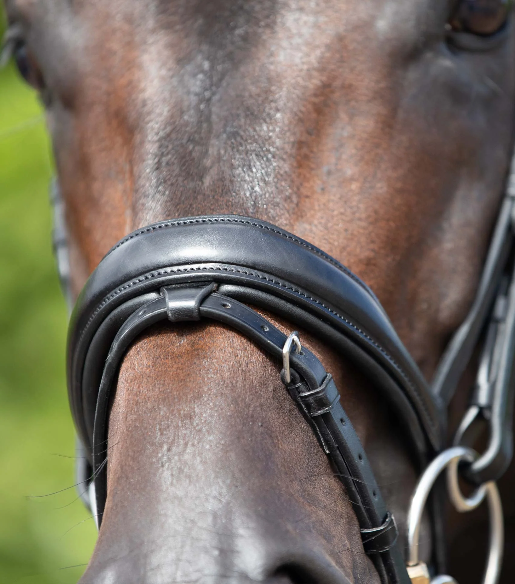 Stellazio Anatomic Snaffle Bridle with Flash Black - Image 4