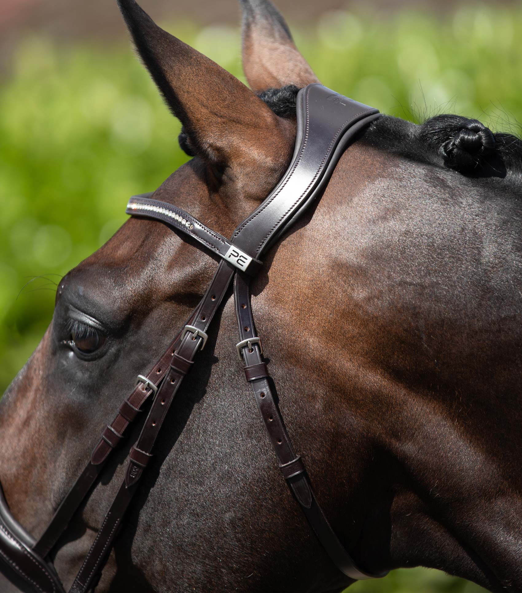 Stellazio Anatomic Snaffle Bridle with Flash Brown - Image 3