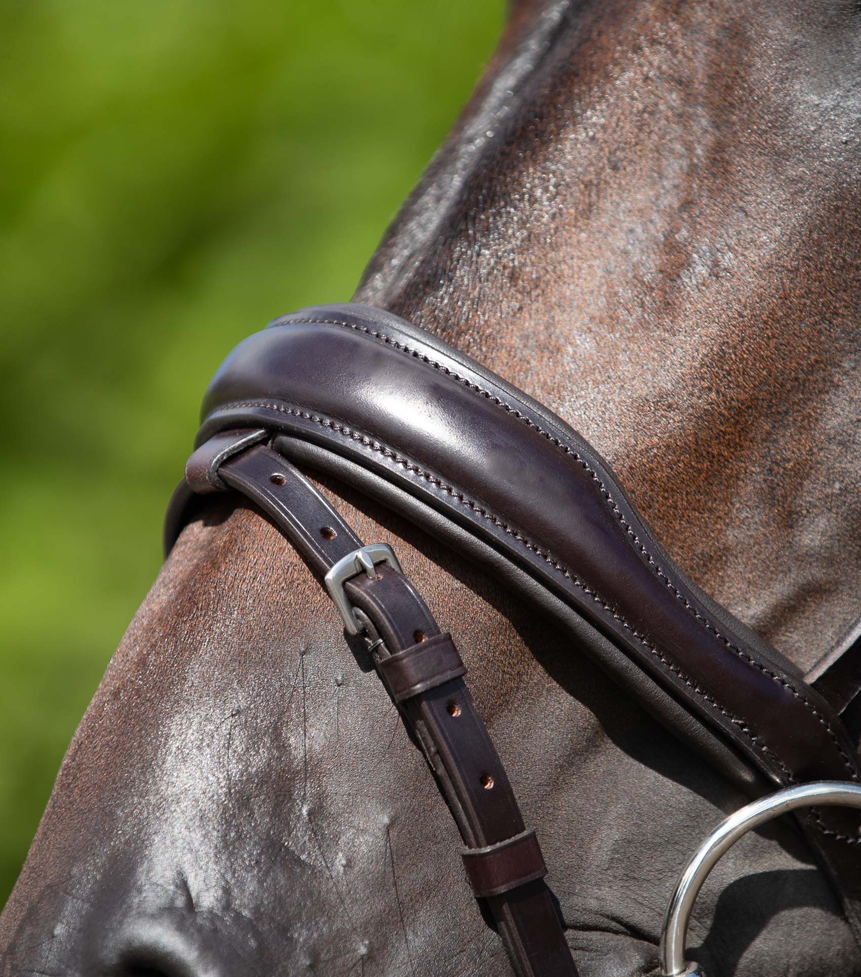 Stellazio Anatomic Snaffle Bridle with Flash Brown - Image 4