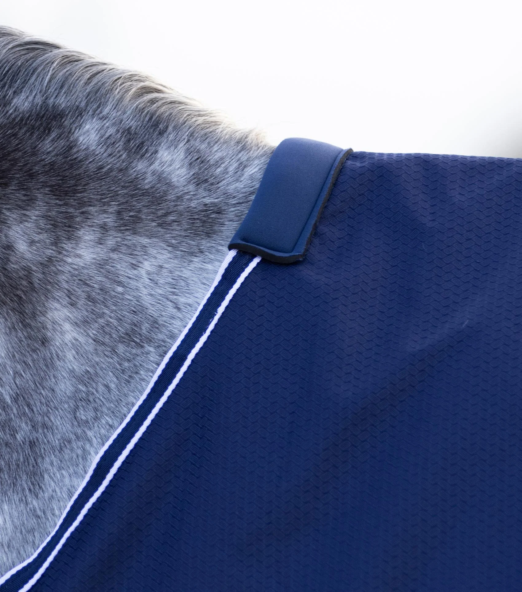Stratus 600D Series 0g Original Turnout Rug Navy - Image 2