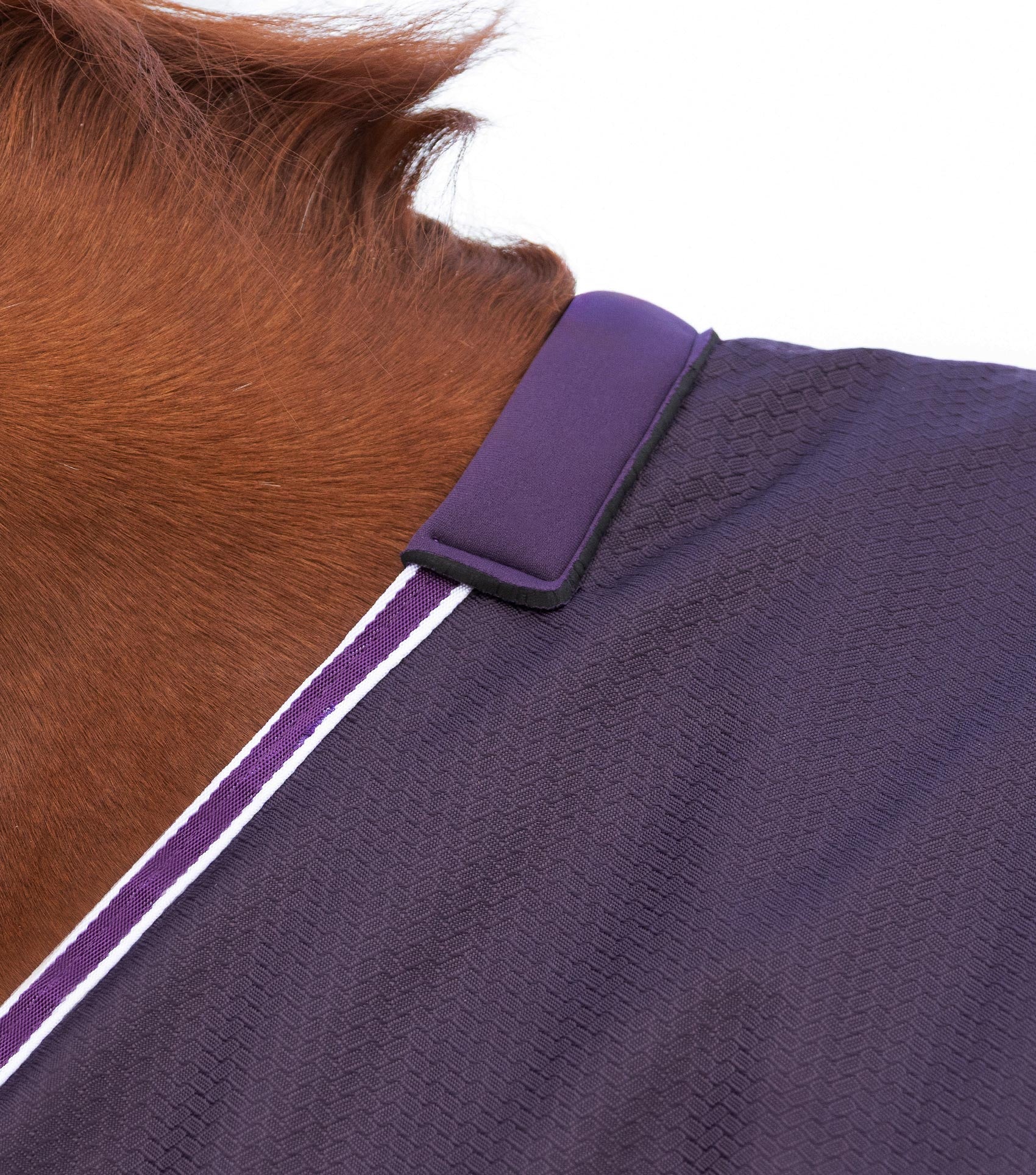 Stratus 600D Series 0g Original Turnout Rug Purple - Image 2